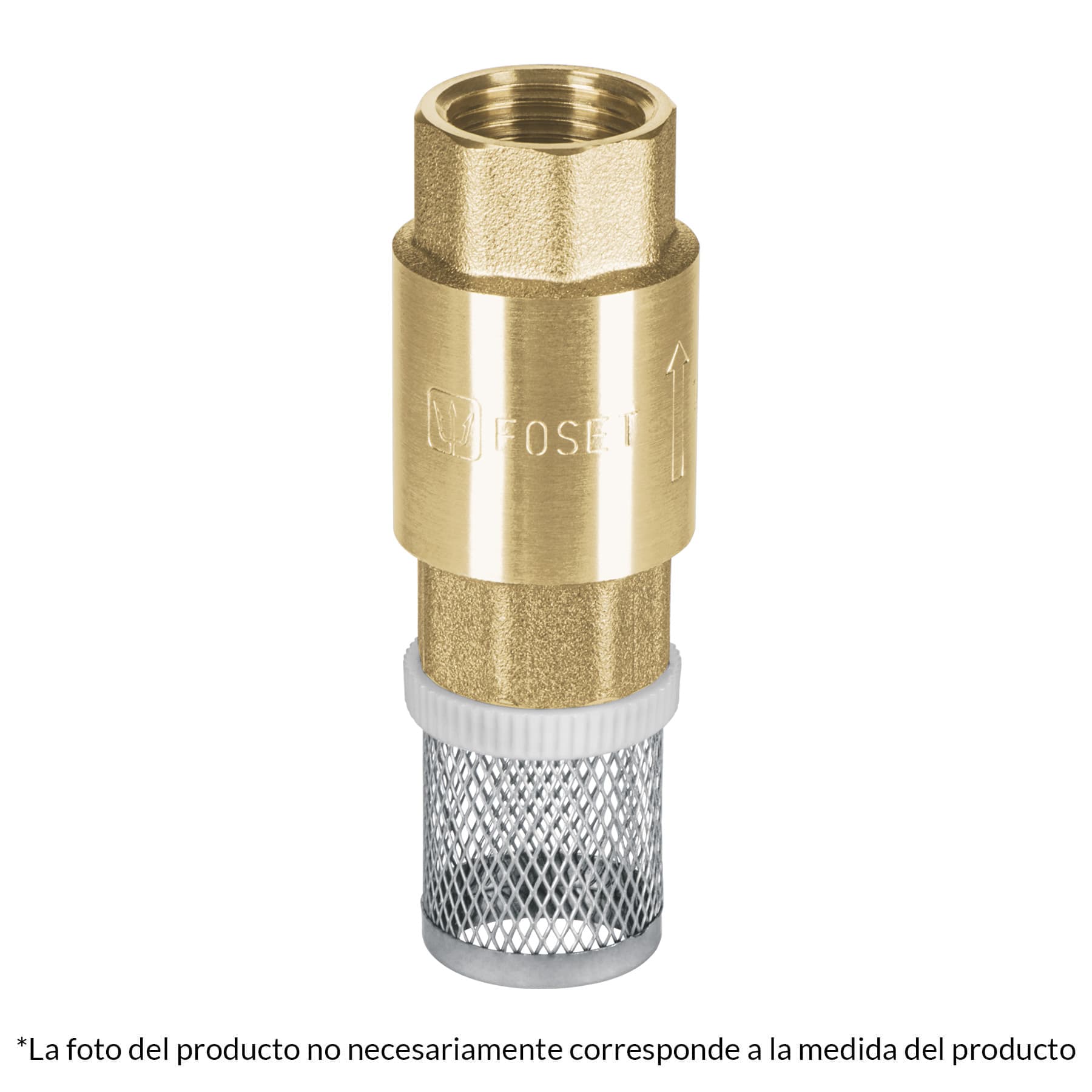Pichancha con rejilla acero inoxidable 1"