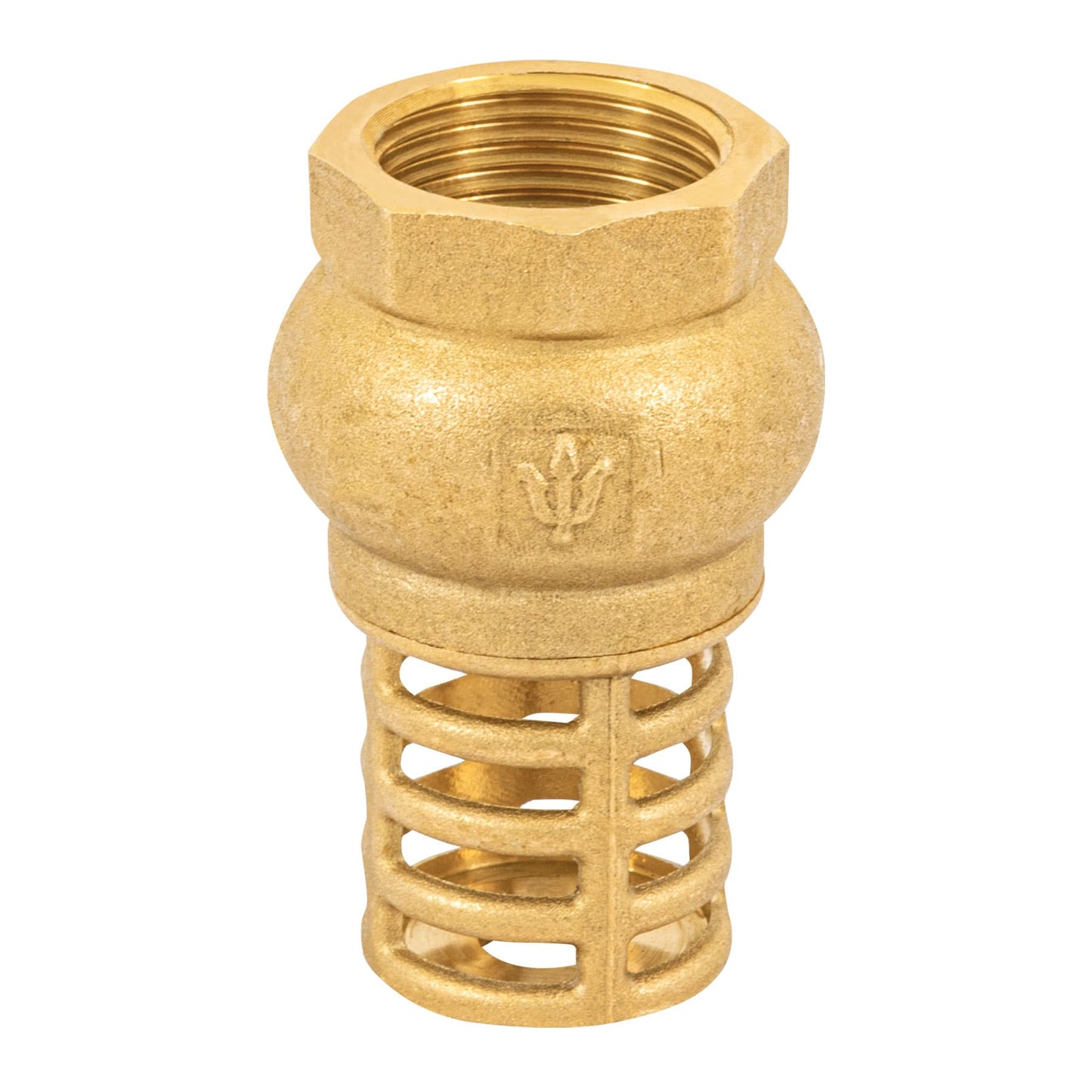 Pichancha con rejilla de latón 3/4"