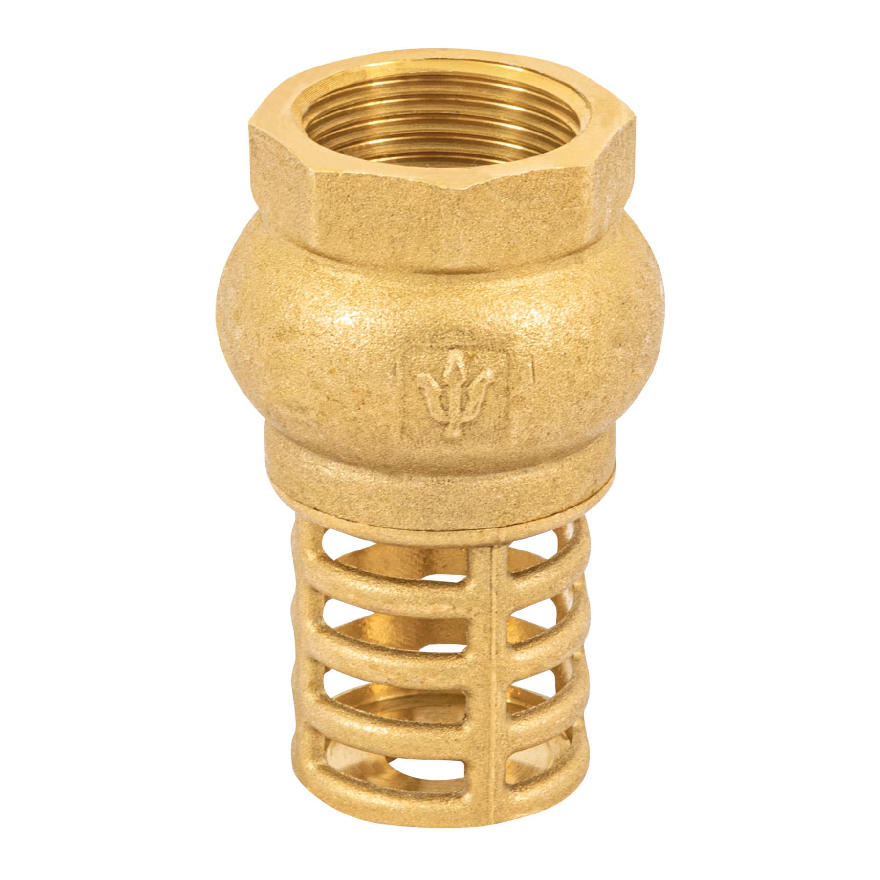Pichancha con rejilla de latón 3/4"