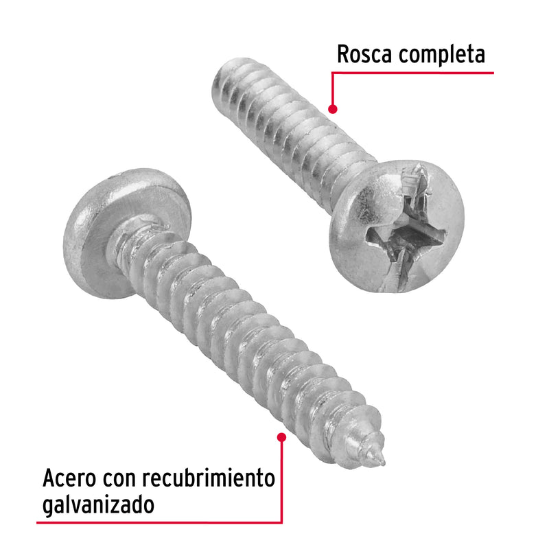 Pijas para lámina, #10, 3/4", caja con 150 pzas
