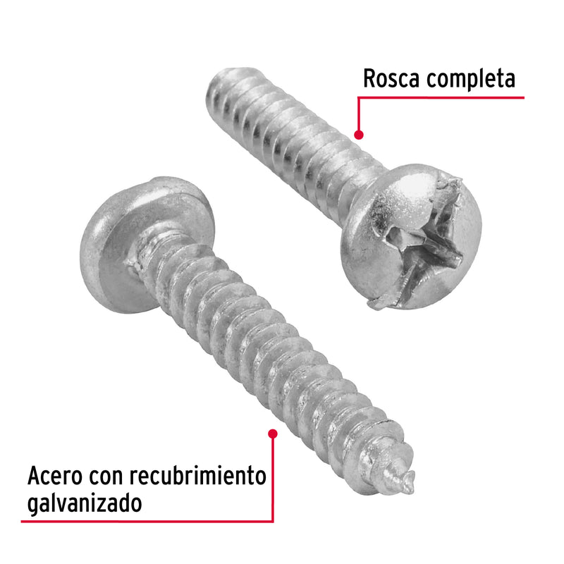 Pijas para lámina, #12, 1-1/4", caja con 100 pzas