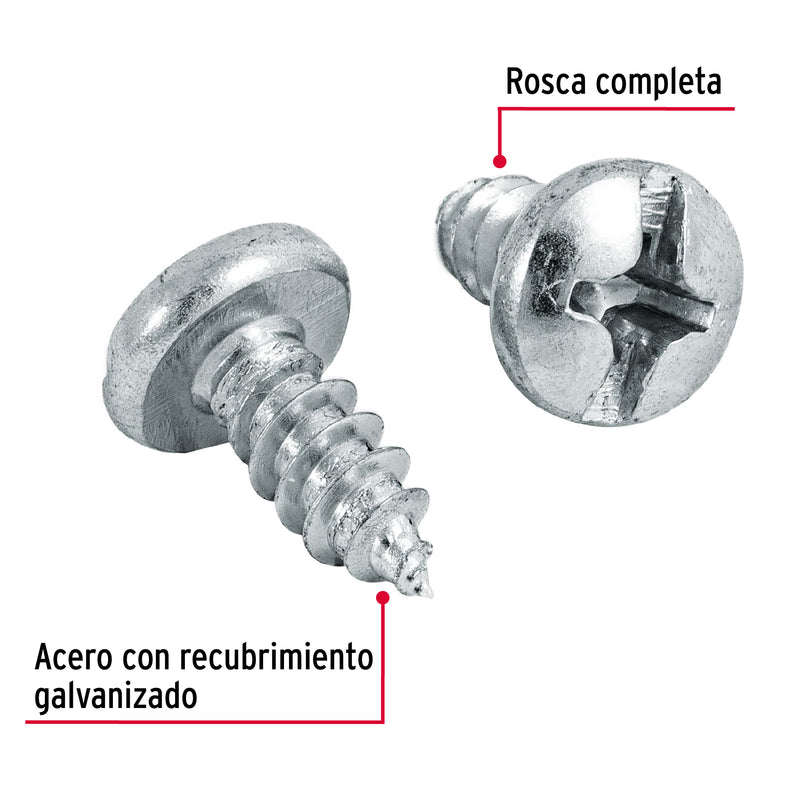 Pijas para lámina #12, 1/2" caja con 100 piezas