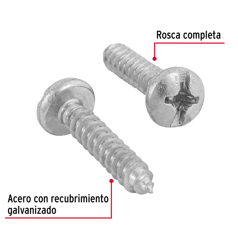 Pijas para lámina, #12, 1", caja con 100 pzas