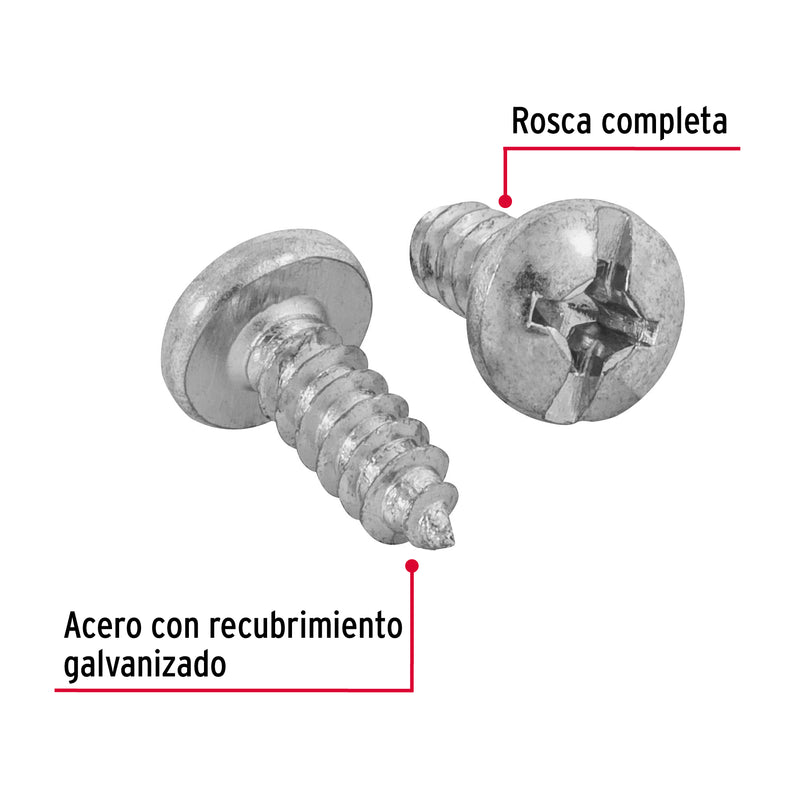 Pijas para lámina #12, 5/8" caja con 100 piezas