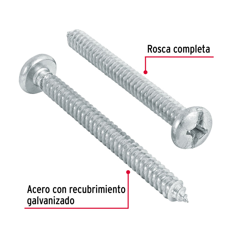 Pijas para lámina #14, 2-1/2" caja con 100 piezas