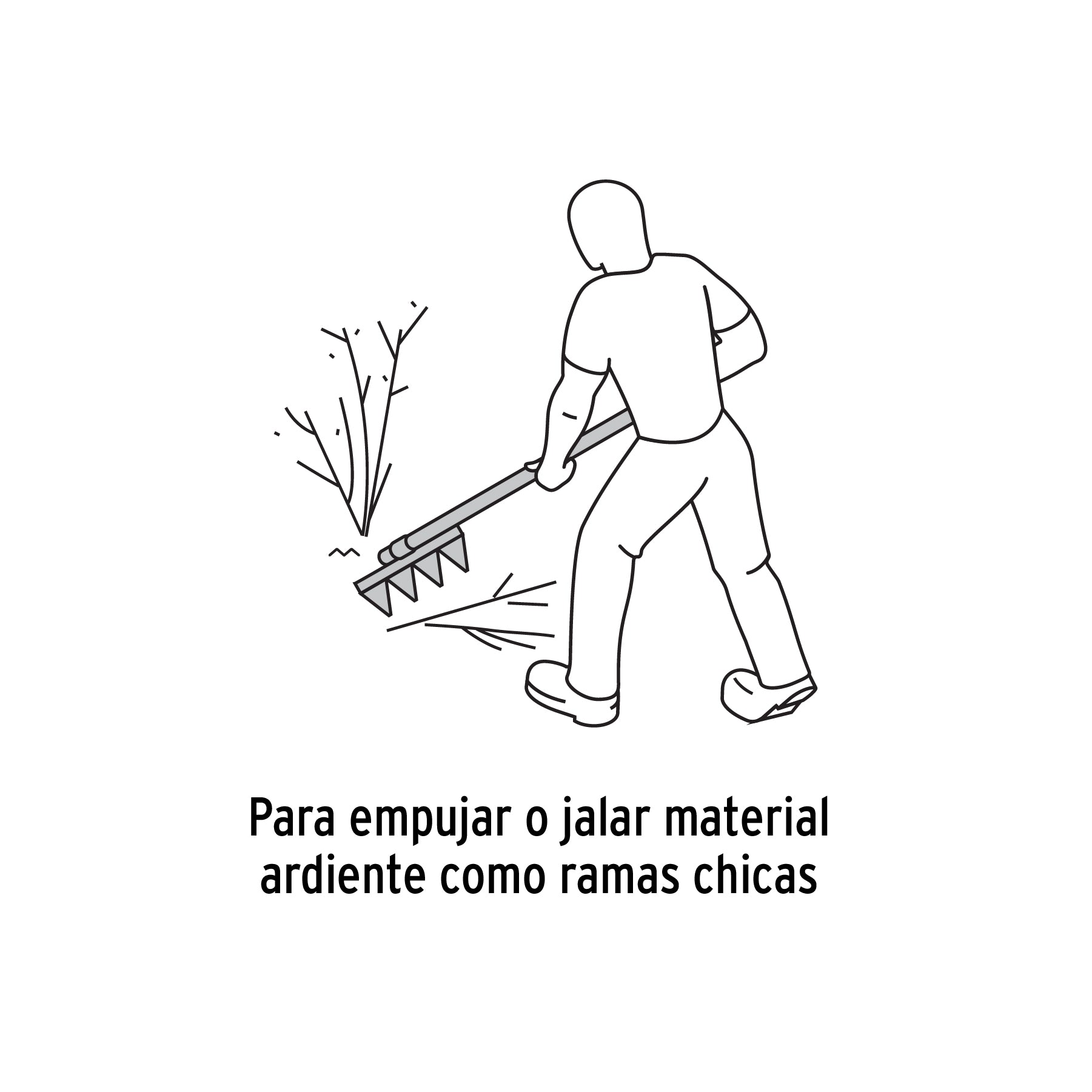 Rastrillo forestal, mango de fresno americano, 60"