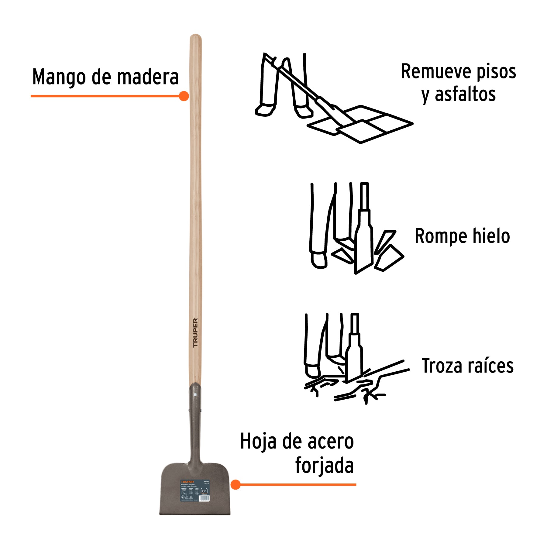 Raspador forjado de 8"
