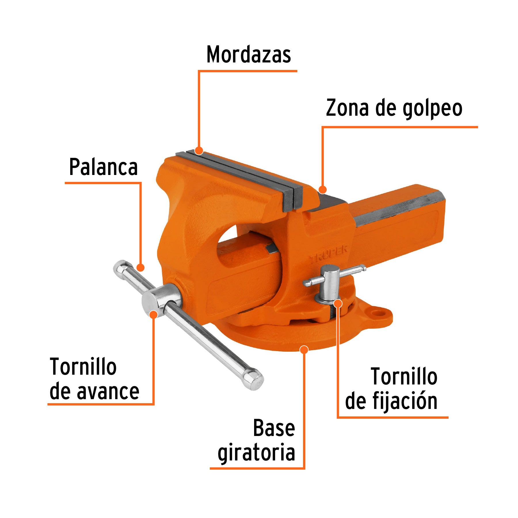 Tornillos de banco tipo Europeo, hierro nodular, 6"
