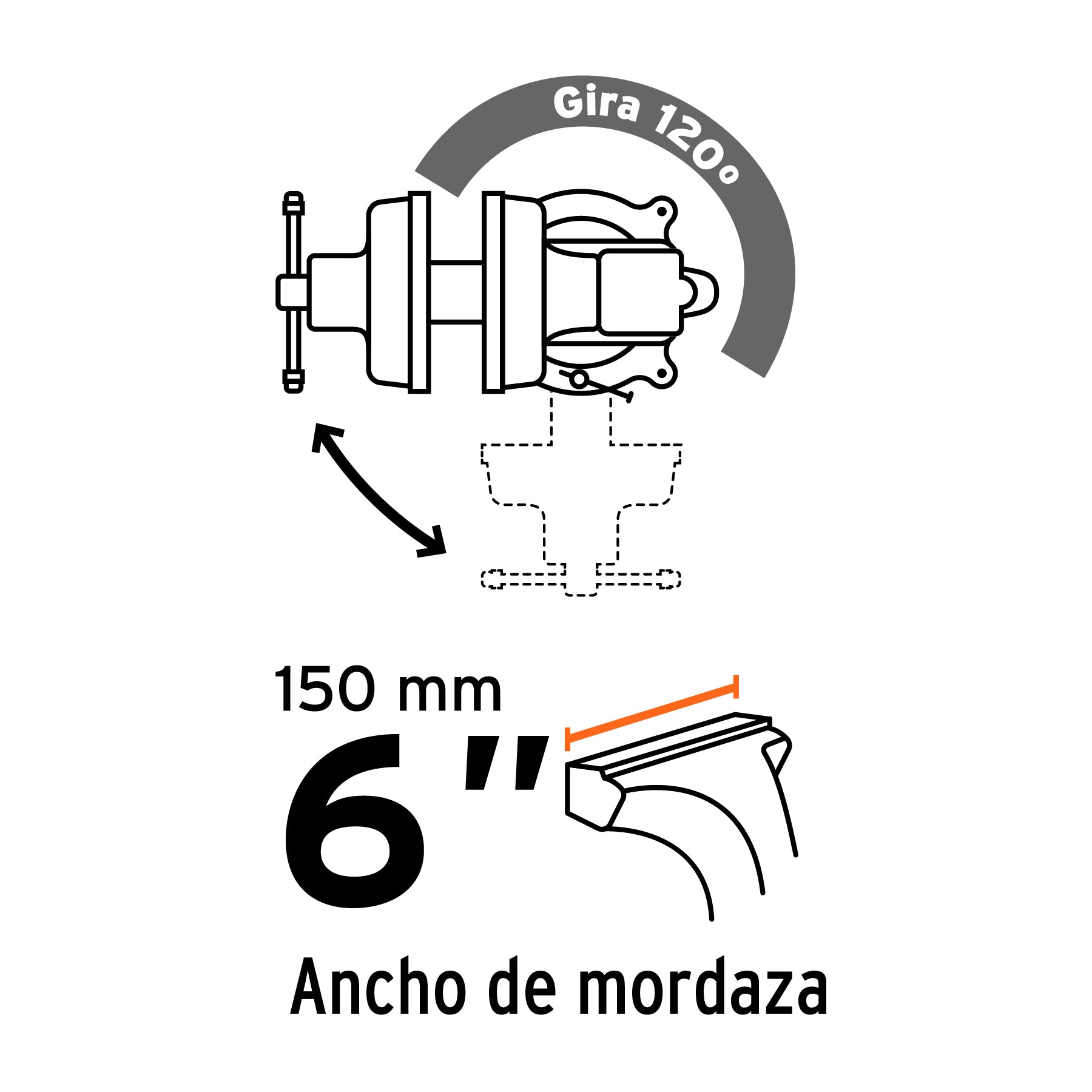 Tornillos de banco tipo Europeo, hierro nodular, 6"