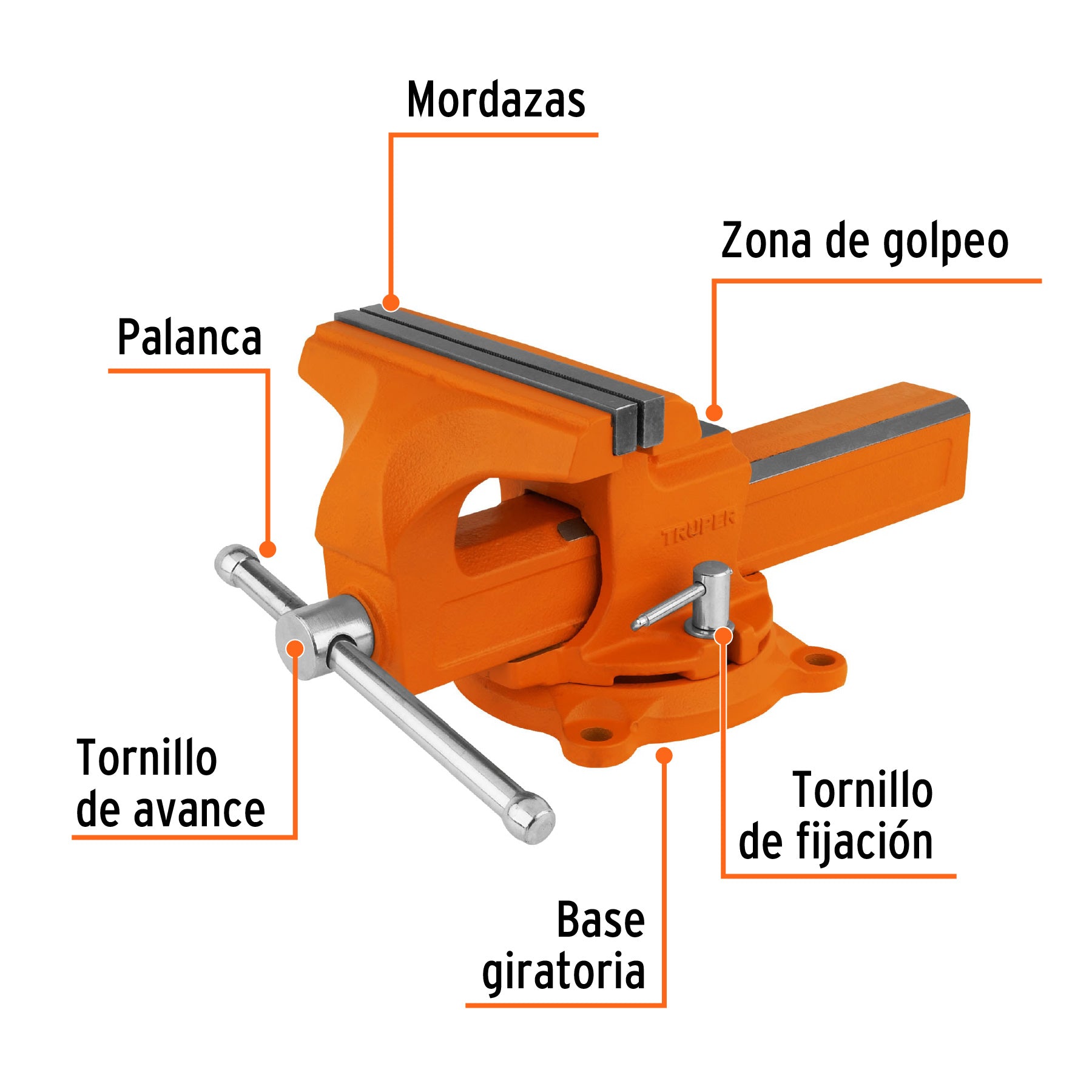 Tornillos de banco tipo Europeo, hierro nodular, 8"