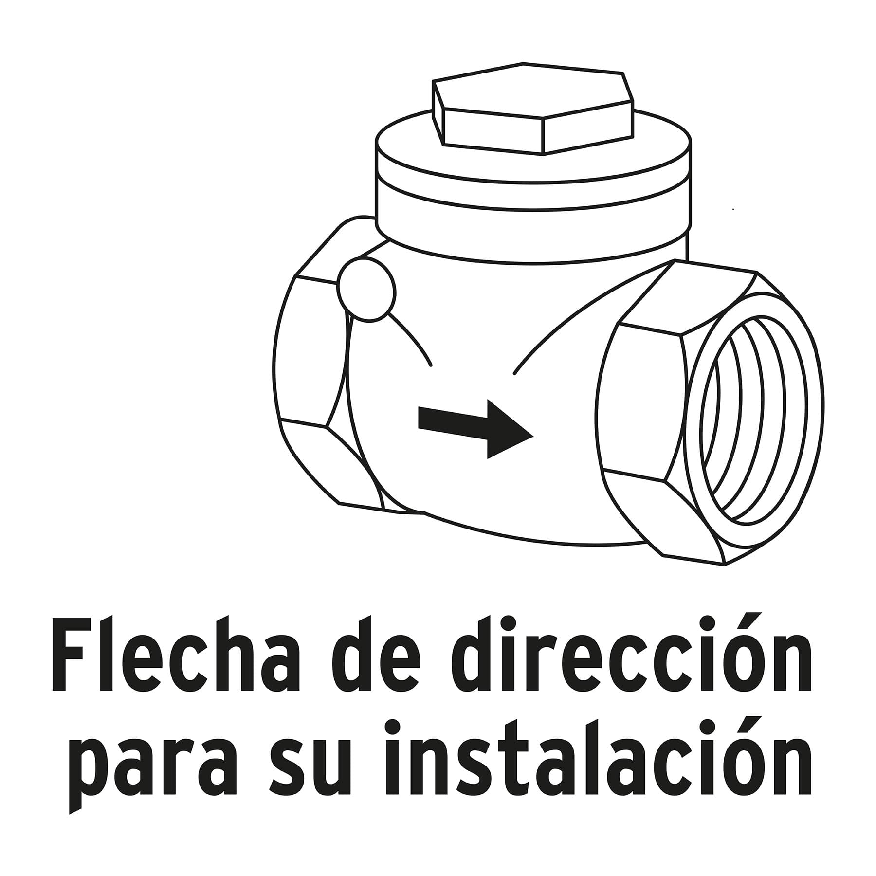 Válvula check horizontal de latón, 1'