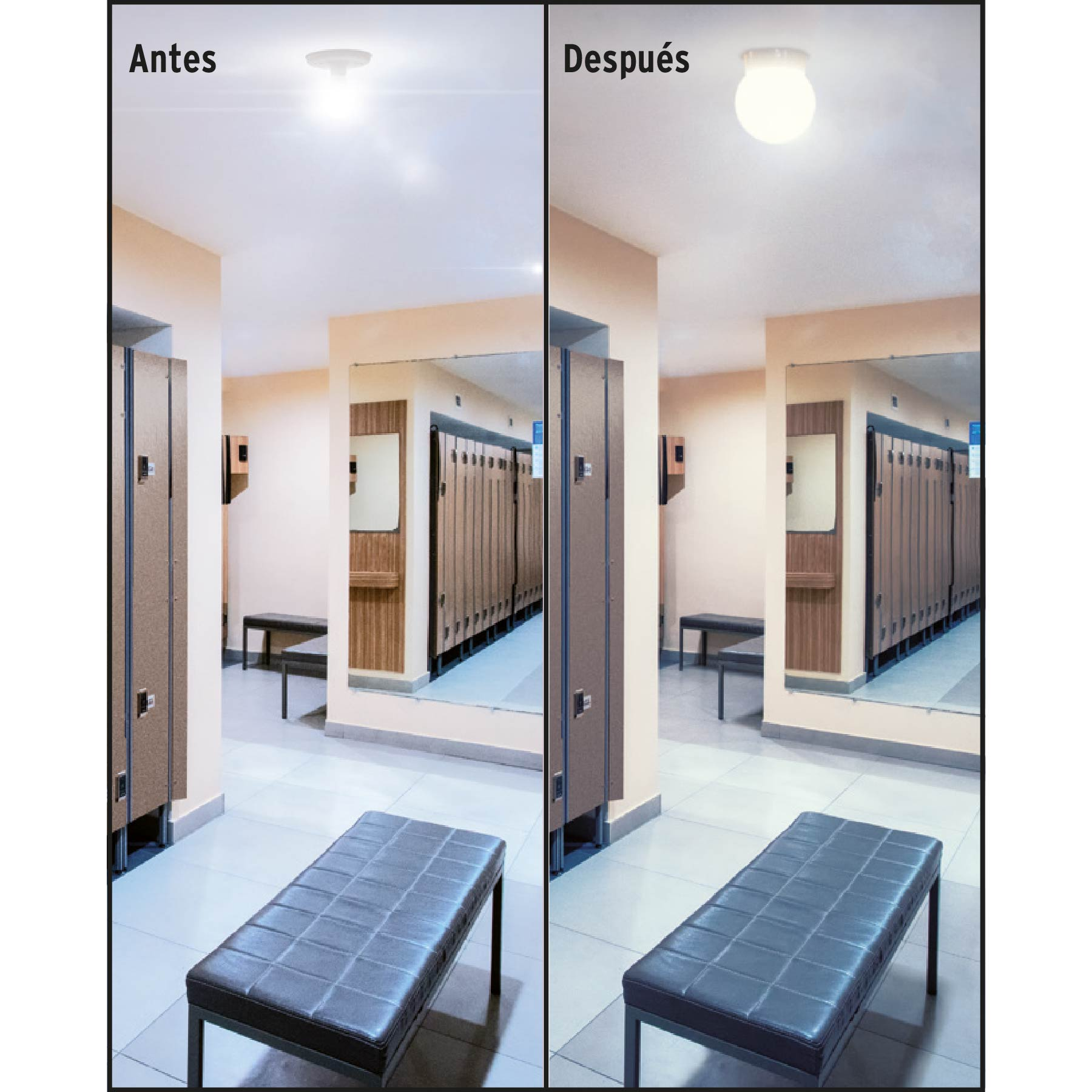 Pantalla decorativa esférica, sin lámpara