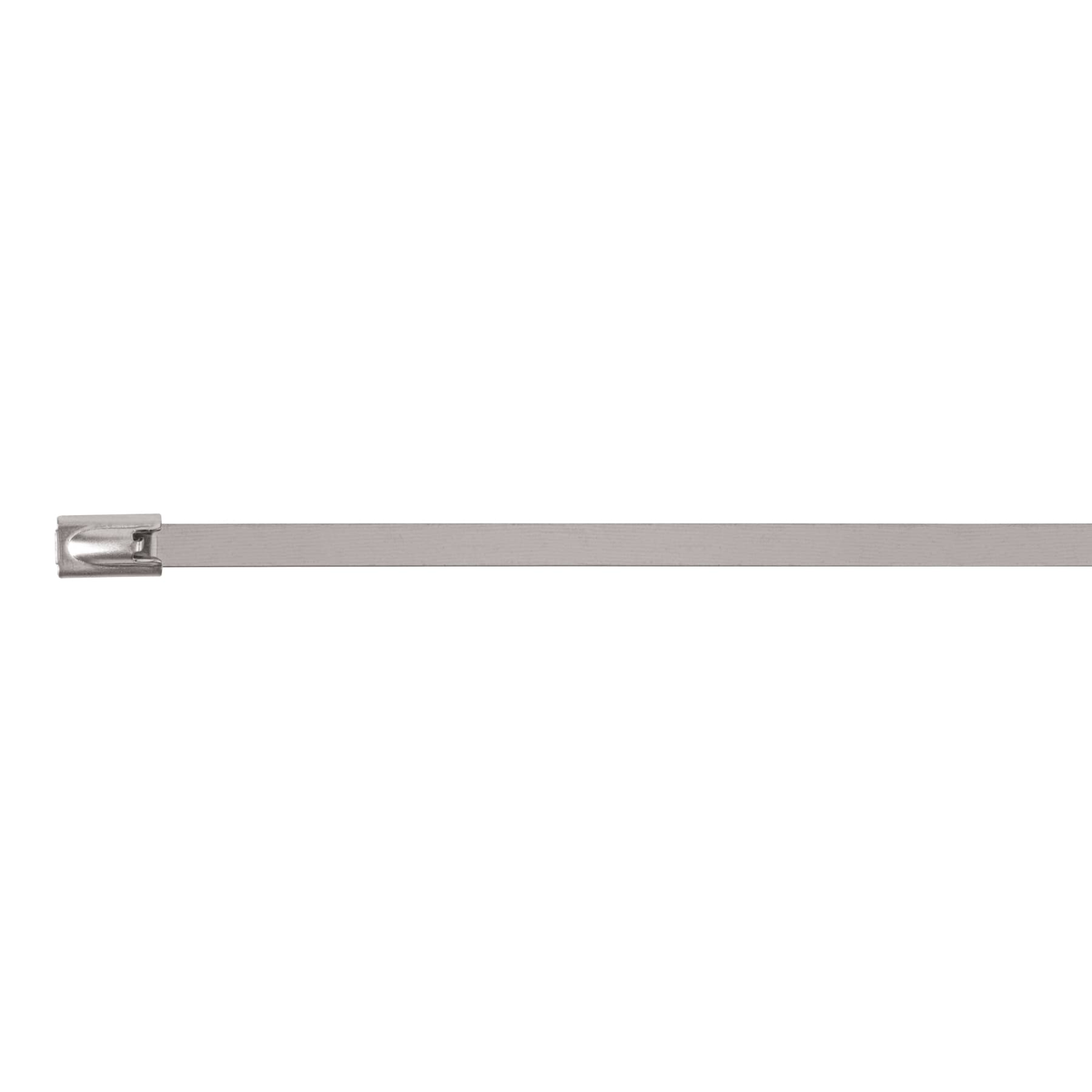Cincho de acero inoxidable 29 cm, 200 lb, 10 pzas