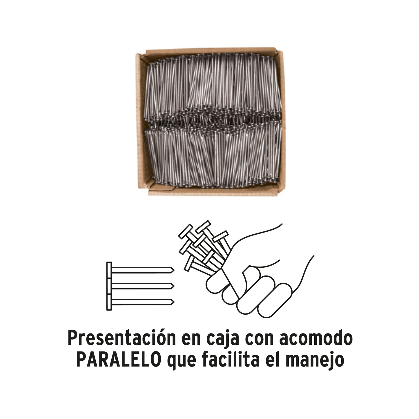 Clavo estándar 2-1/2' con cabeza, caja con 10 kg
