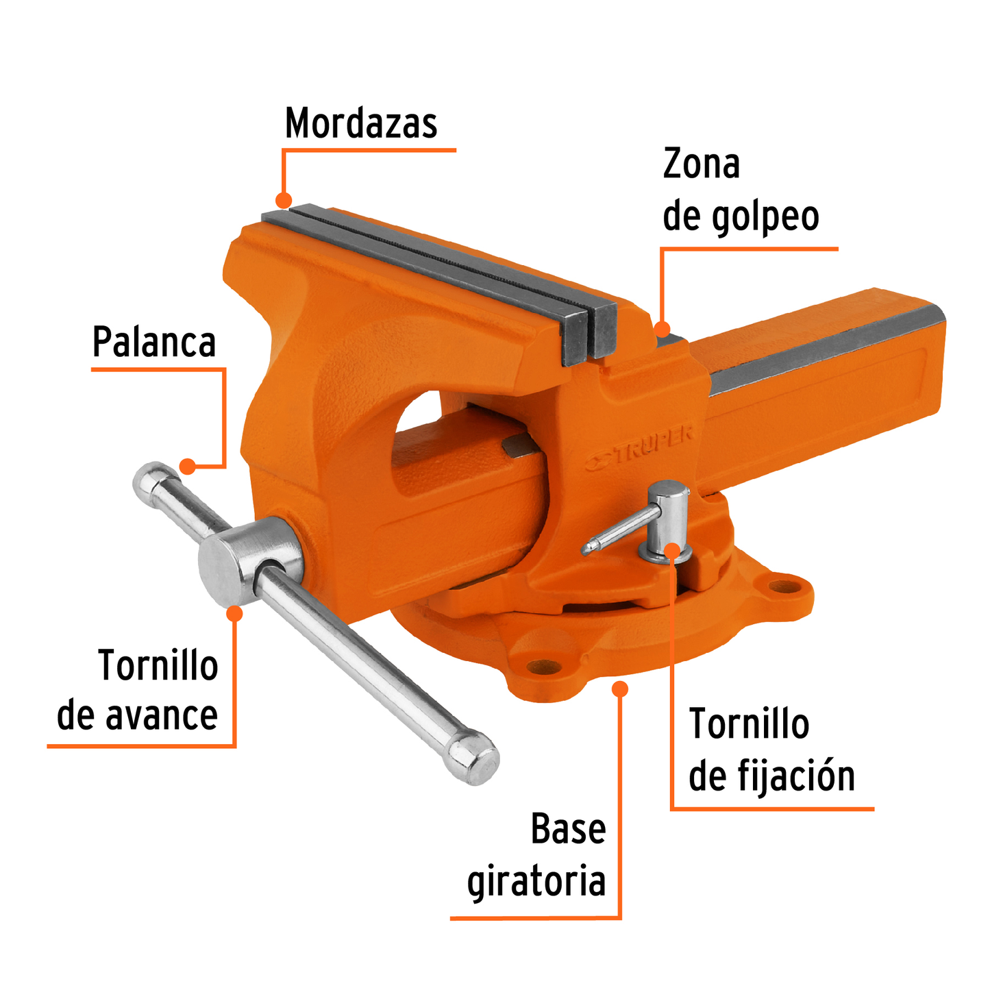 Tornillos de banco tipo Europeo, hierro nodular, 8"