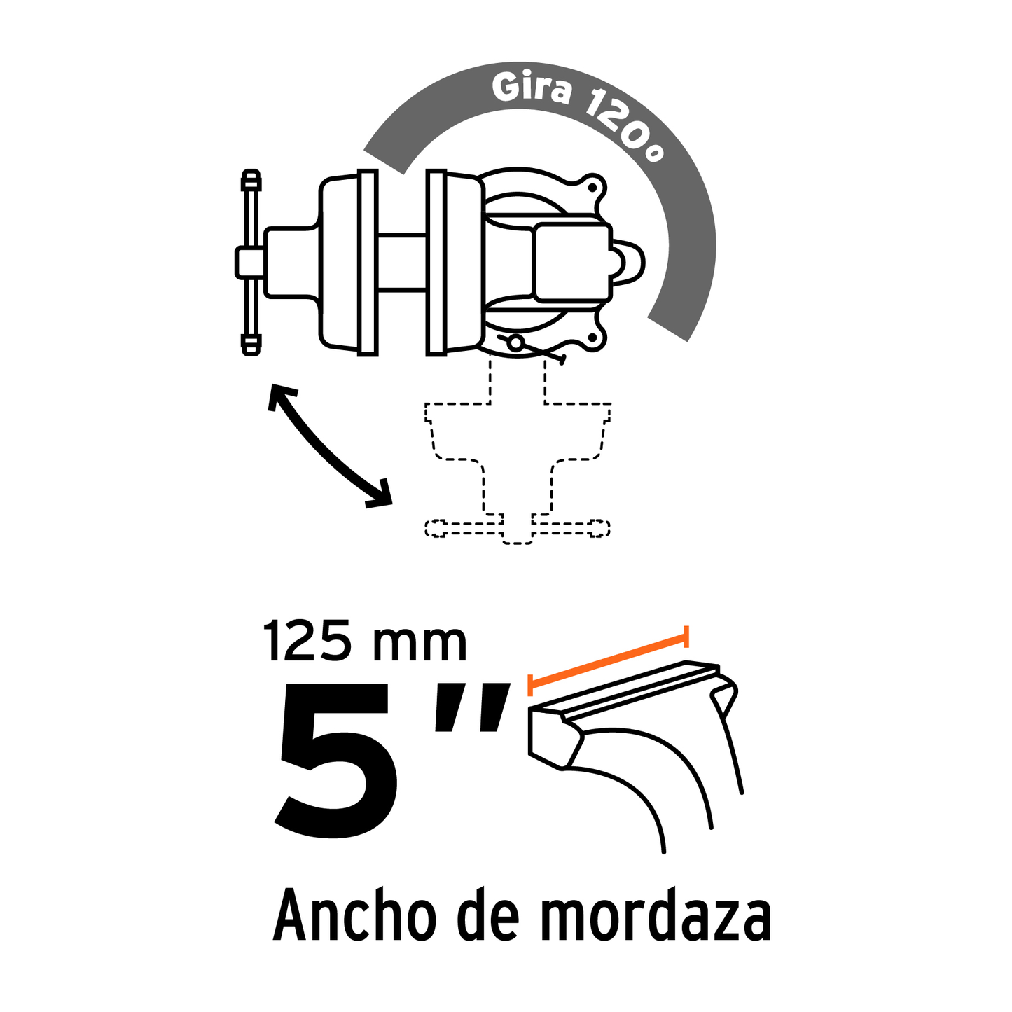 Tornillos de banco tipo Europeo, hierro nodular, 5"