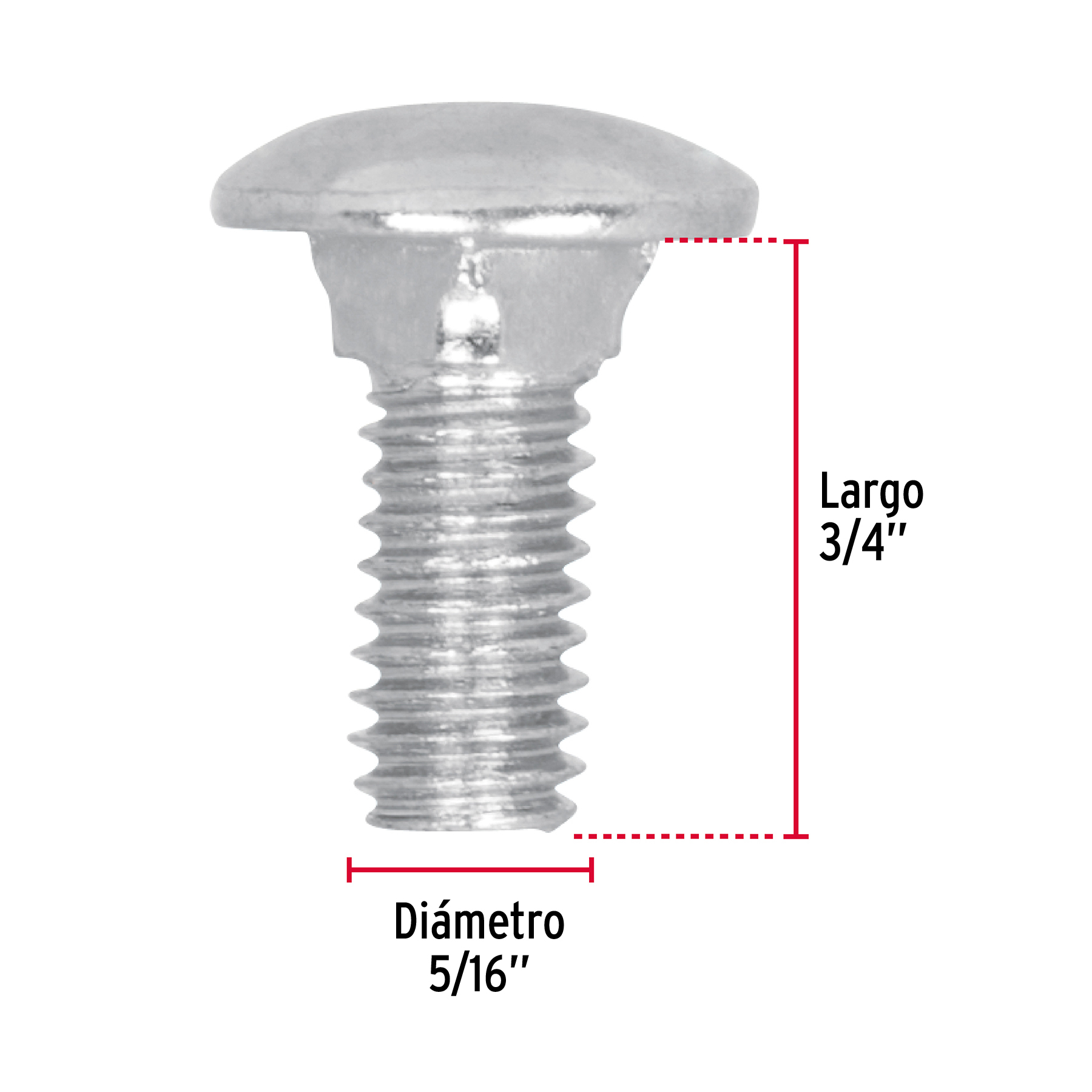 Tornillo tipo coche, galvanizado, 5/16 X 3/4", 80 piezas