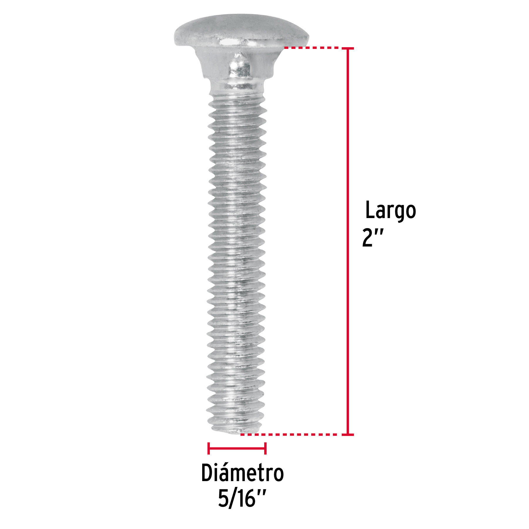 Tornillo tipo coche, galvanizado, 5/16 X 2", 80 piezas