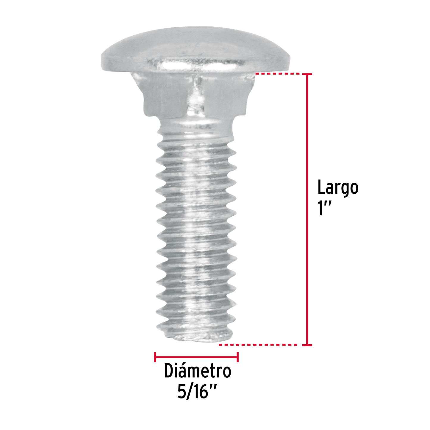 Tornillo tipo coche, galvanizado, 5/16 X 1", 60 piezas