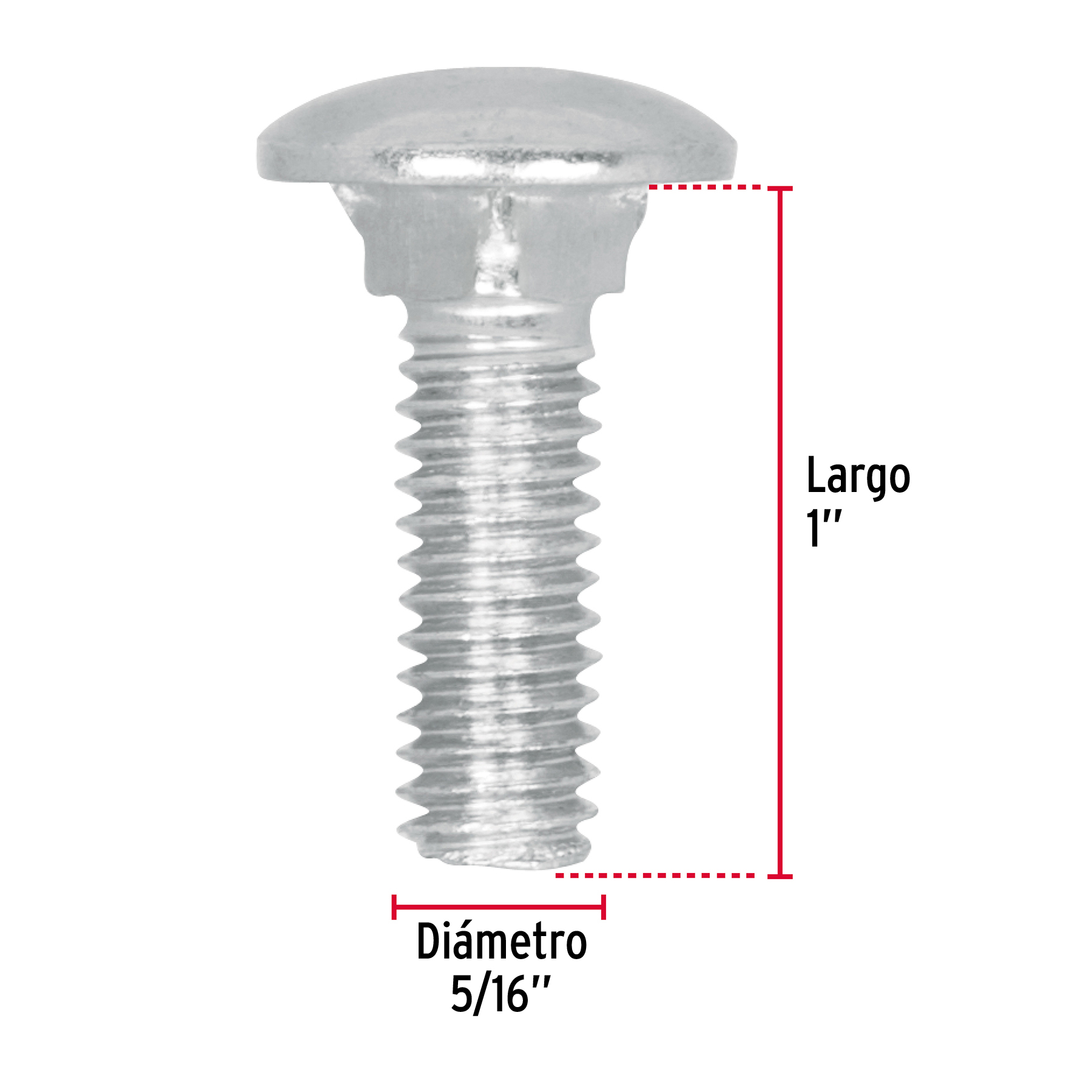 Tornillo tipo coche, galvanizado, 5/16 X 1", 60 piezas