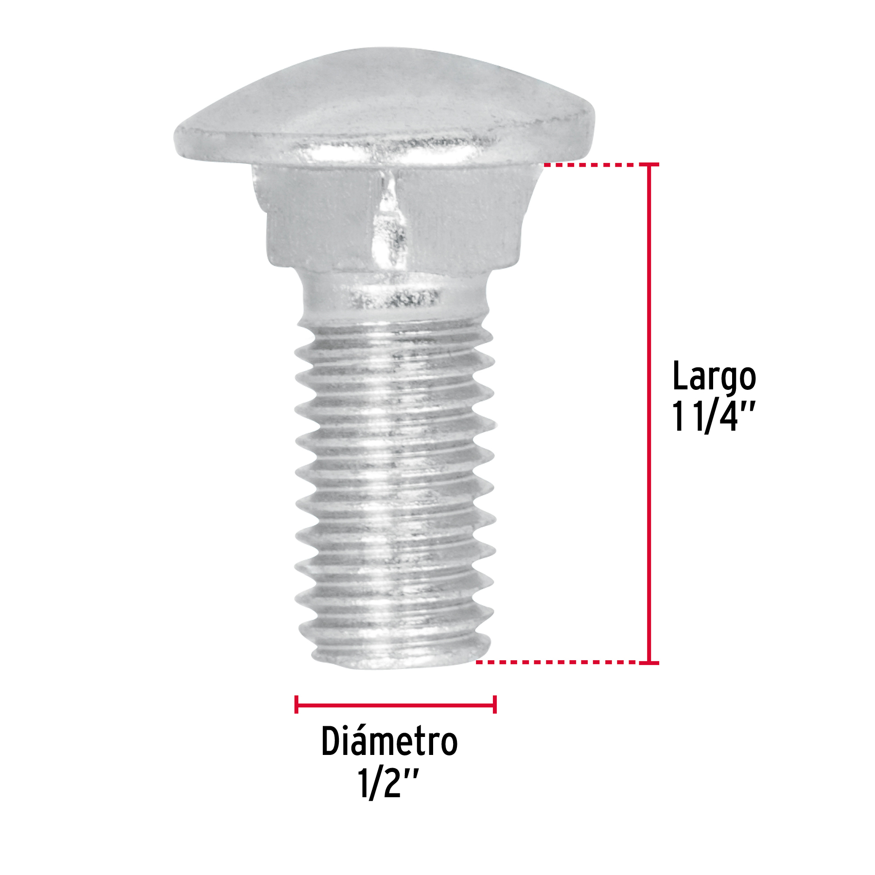 Tornillo tipo coche, galvanizado, 1/2 X 1-1/4", 40 piezas