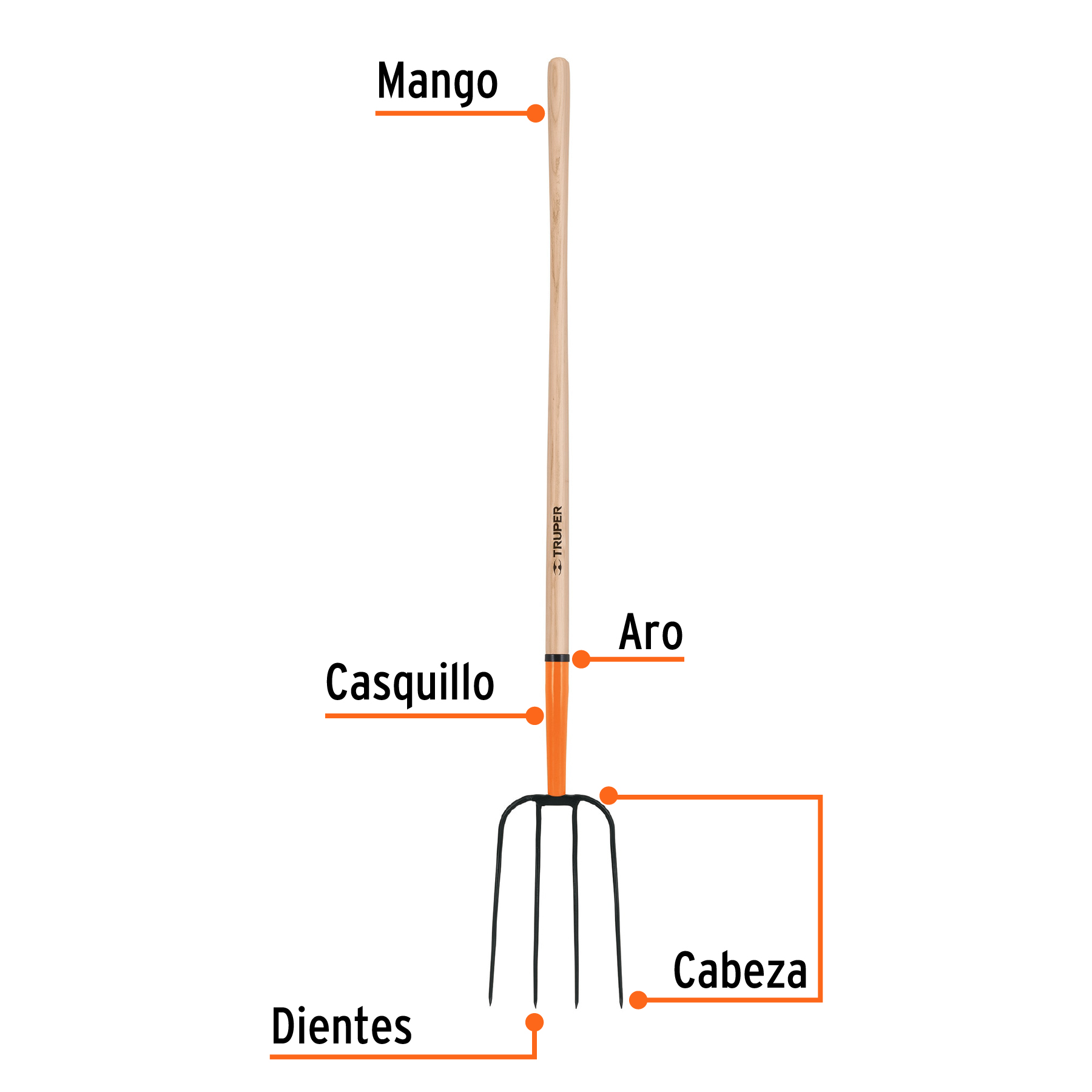 Bieldo para paja, 4 dientes, mango 48"