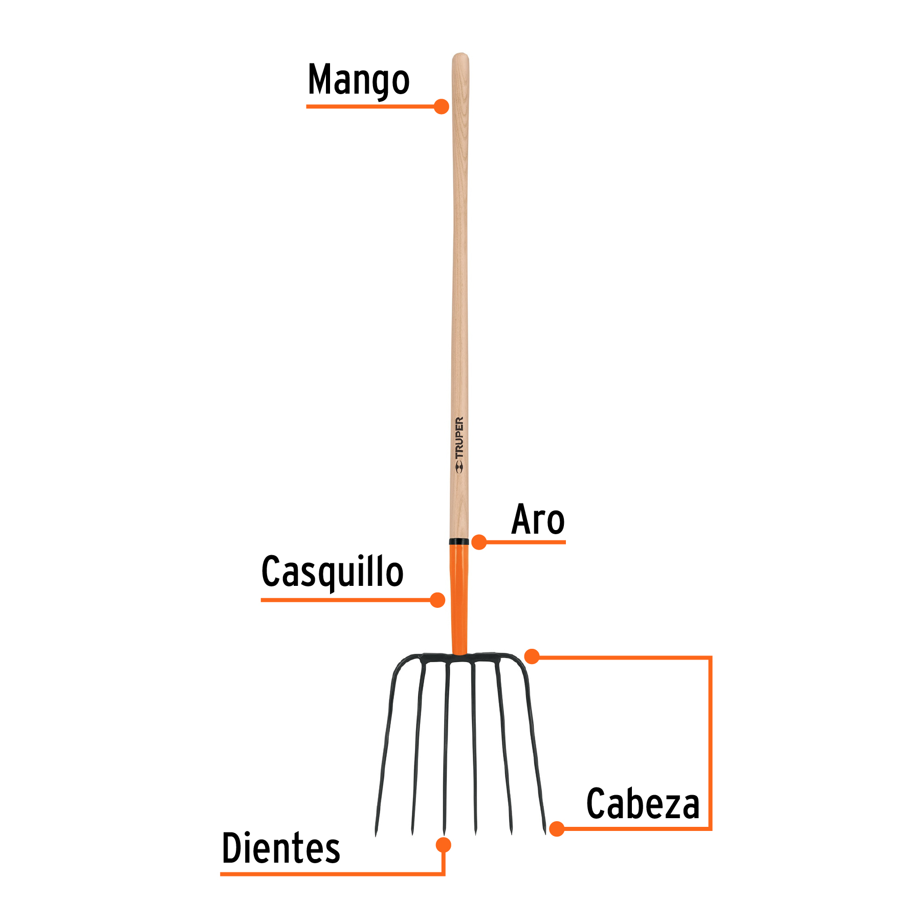 Bieldo para paja, 6 dientes, mango 48"