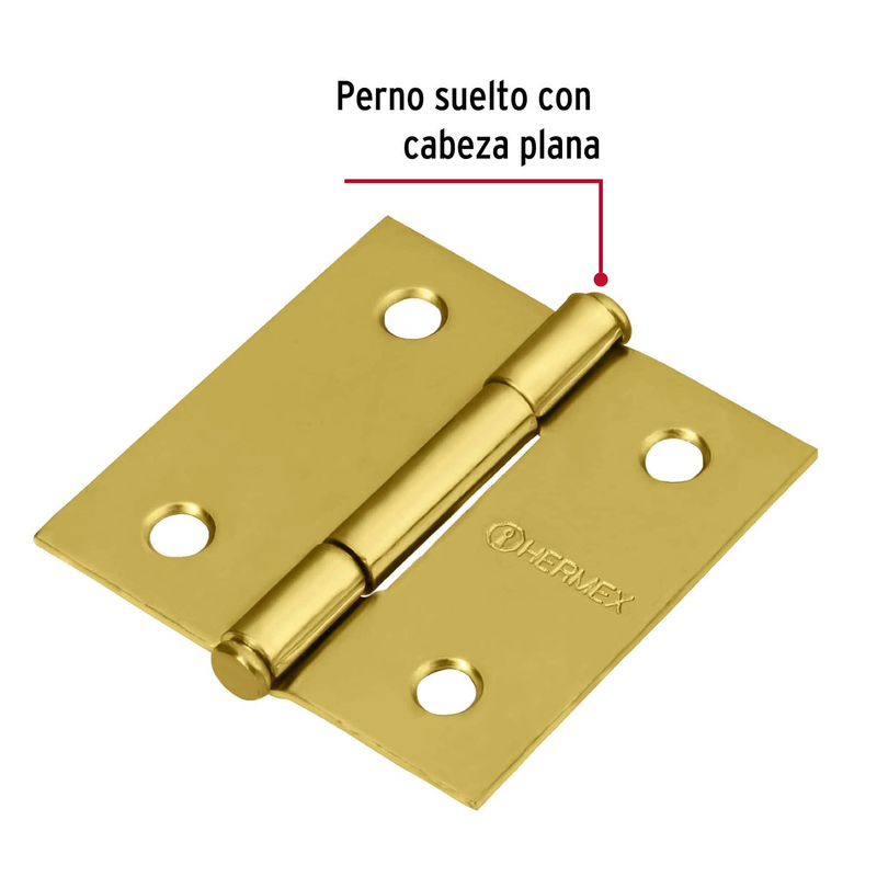 Bisagra cuadrada 2", acero latonado, plana