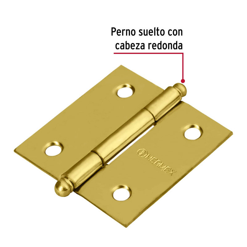 Bisagra cuadrada 2", acero latonado, redonda
