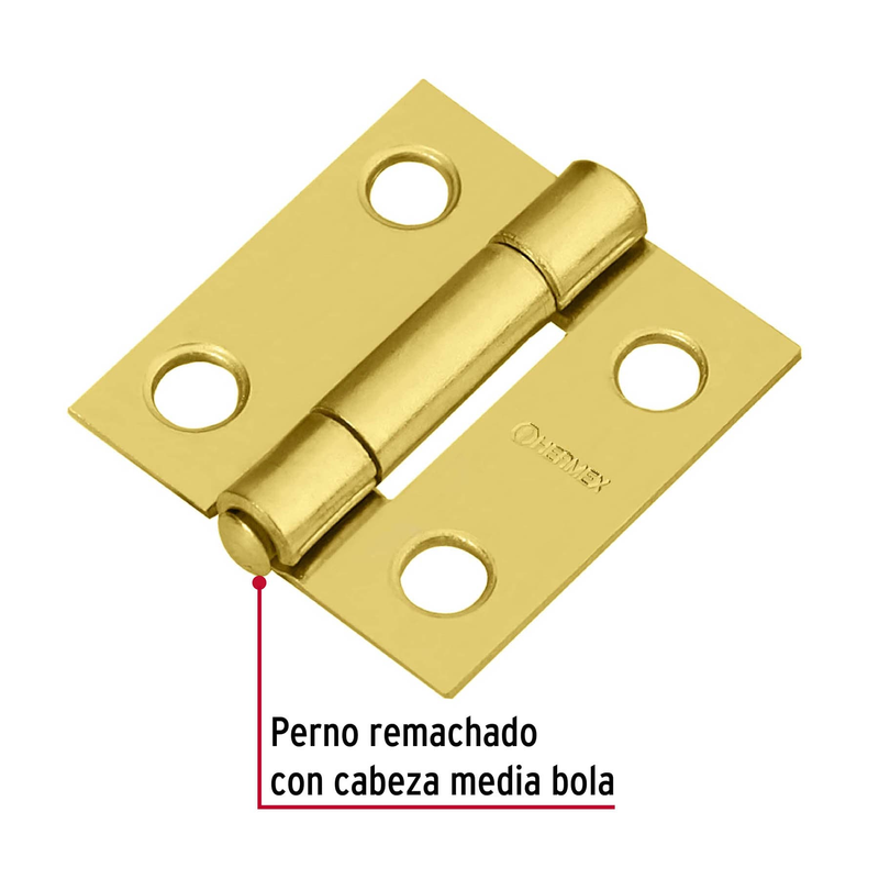 Bisagra rectangular 1", acero latonado