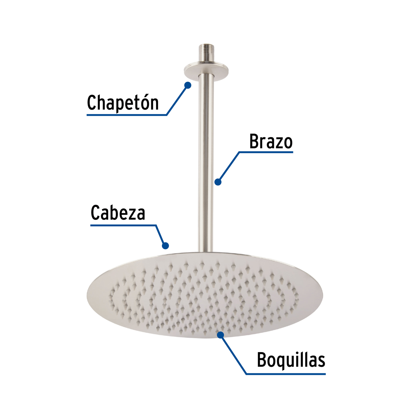 Regadera redonda, acero inoxidable, 12", satinada, Riviera