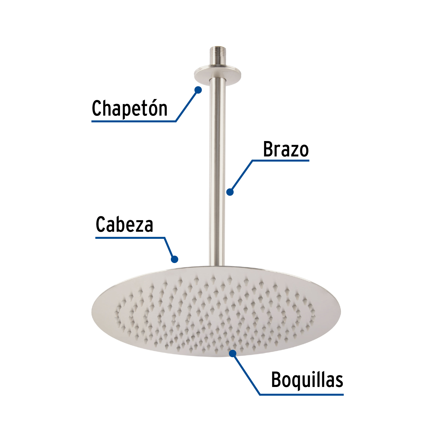 Regadera redonda, acero inoxidable, 12", satinada, Riviera