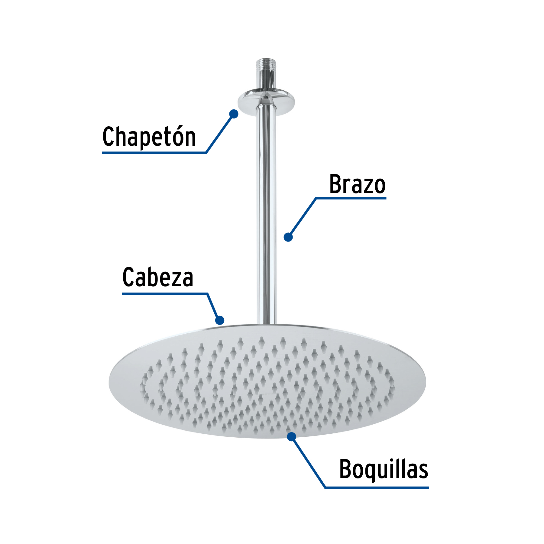 Regadera redonda, acero inoxidable, 12", cromada, Riviera