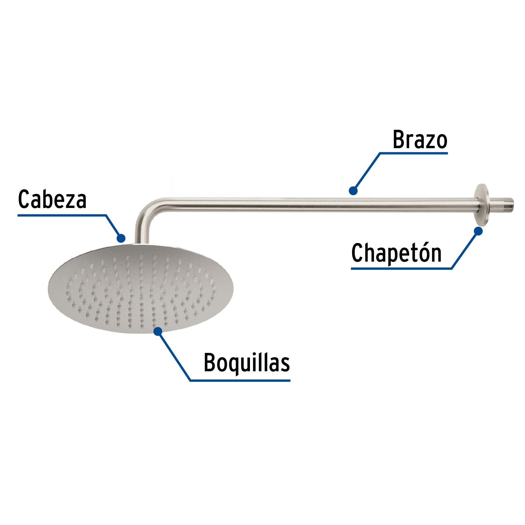 Regadera redonda, acero inoxidable, 10", satinada, Riviera