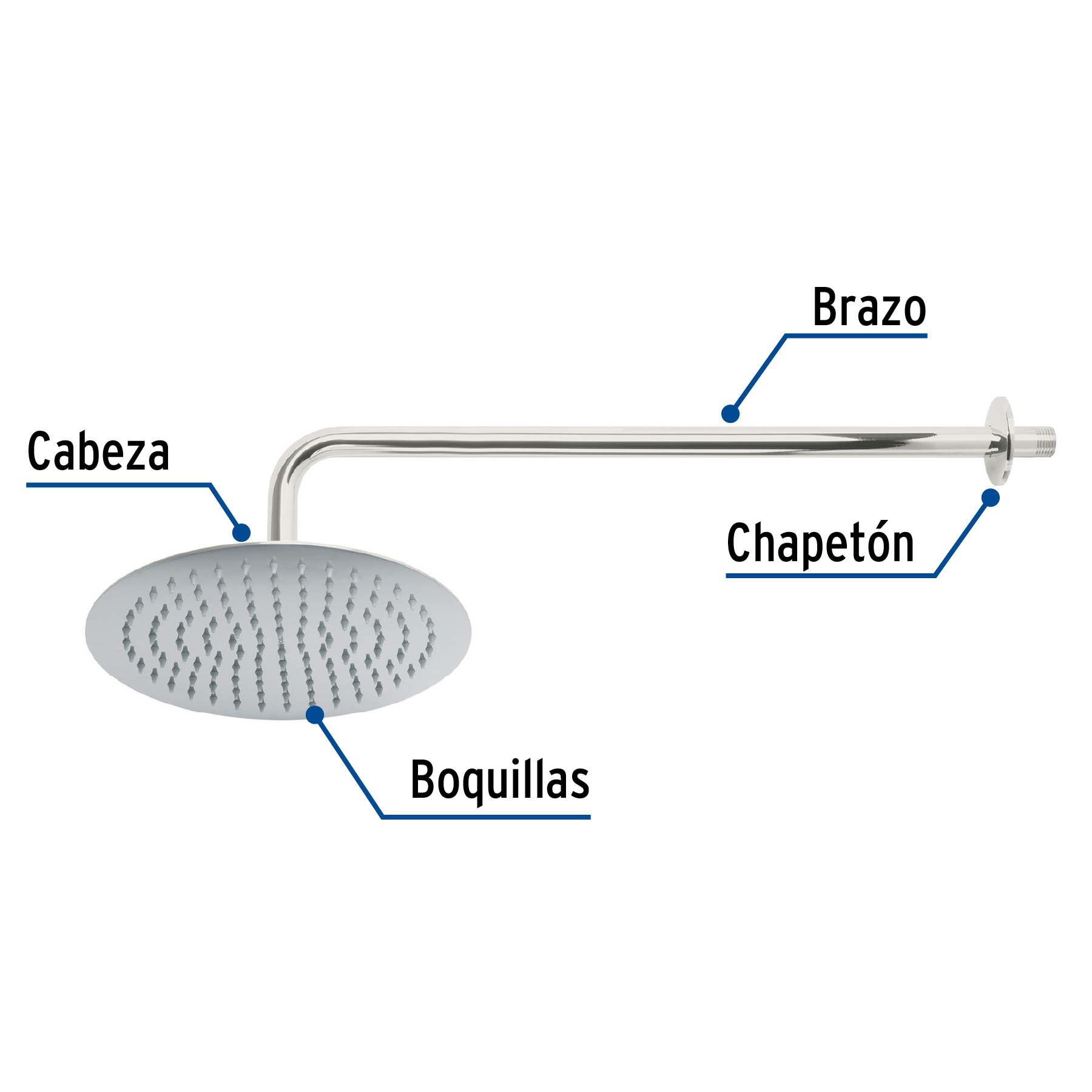 Regadera redonda, acero inoxidable, 10", cromada, Riviera