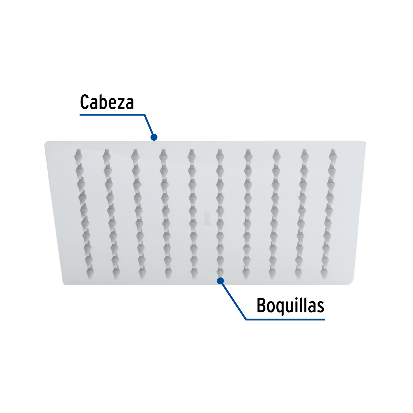 Regadera acero inoxidable, 8", sin brazo, cromado, Riviera
