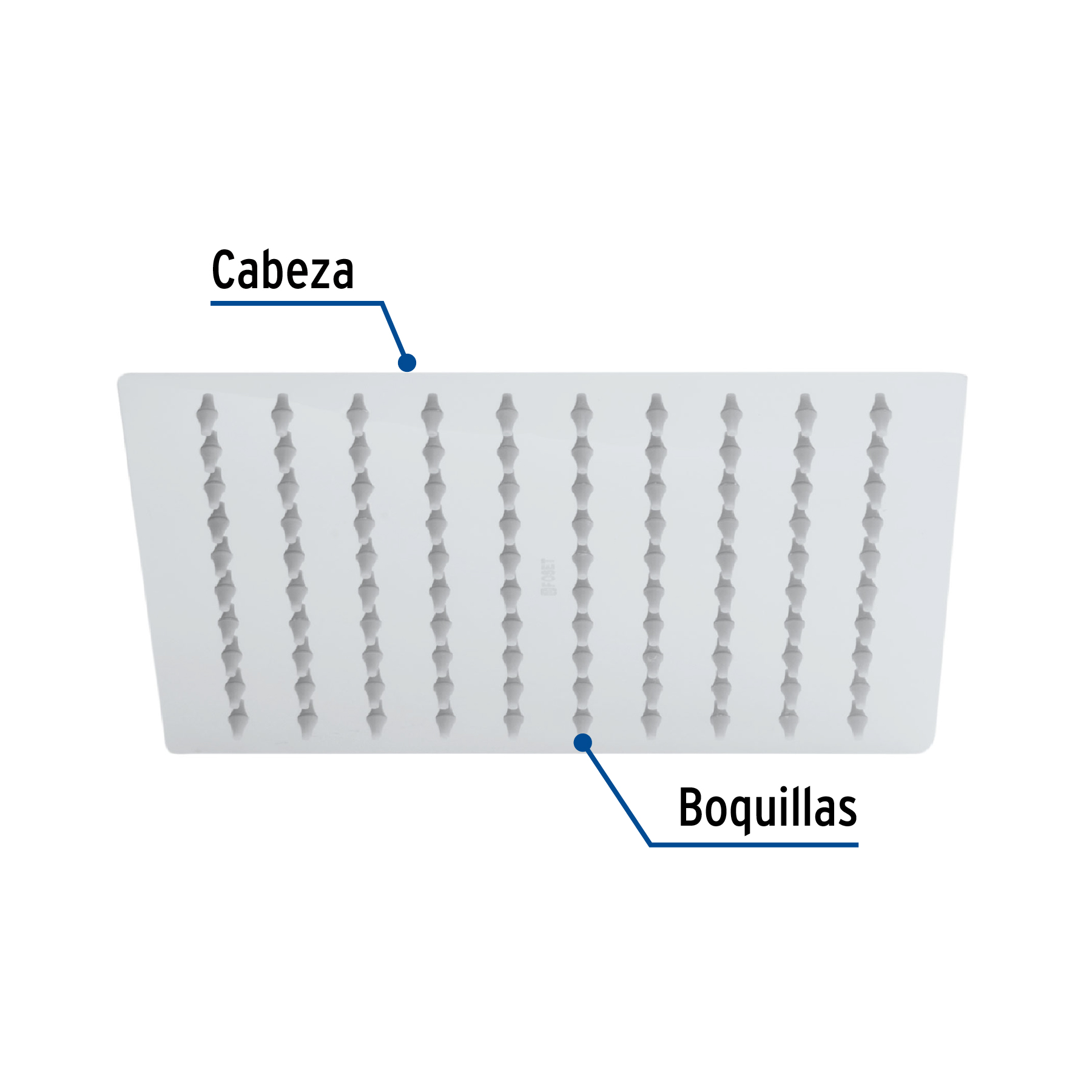 Regadera acero inoxidable, 8", sin brazo, cromado, Riviera