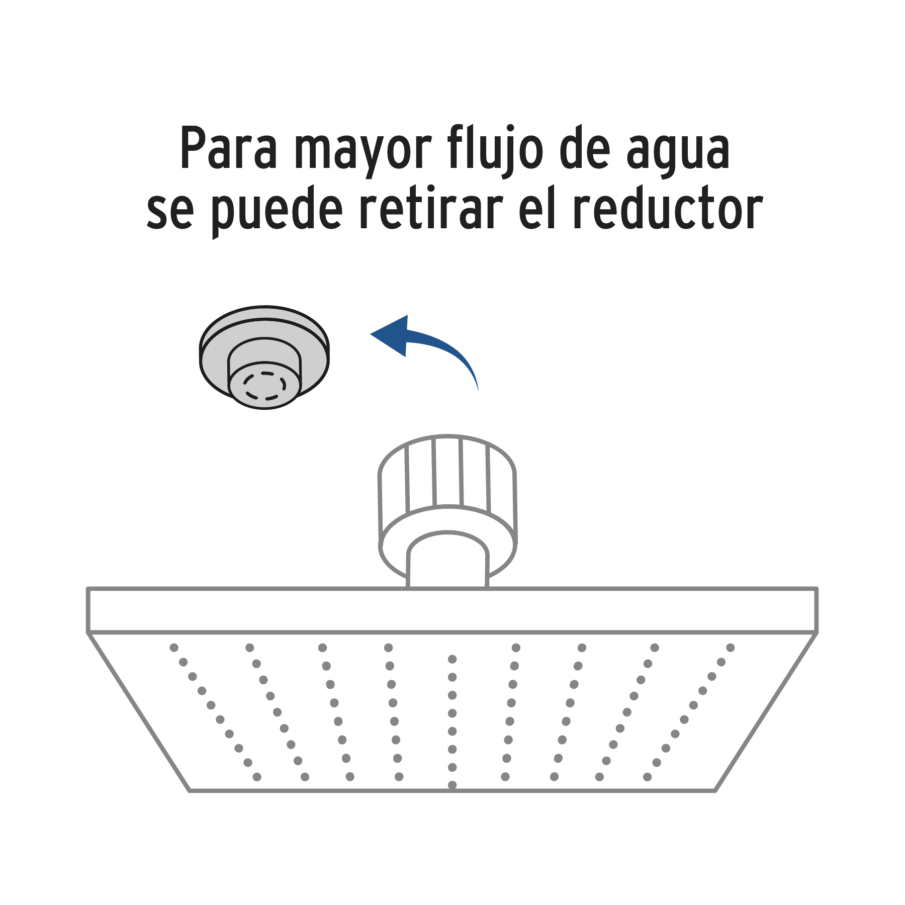 Regadera acero inoxidable, 8", sin brazo, cromado, Riviera
