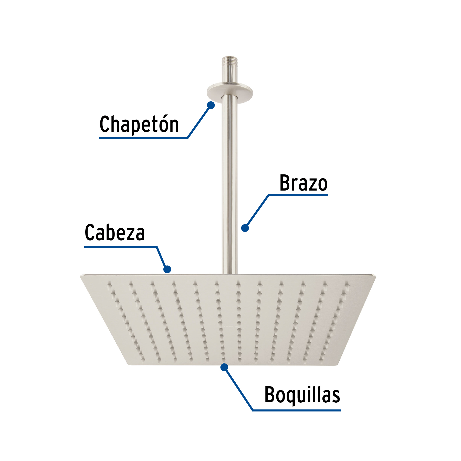 Regadera acero inoxidable, 12", con brazo, satinado, Riviera