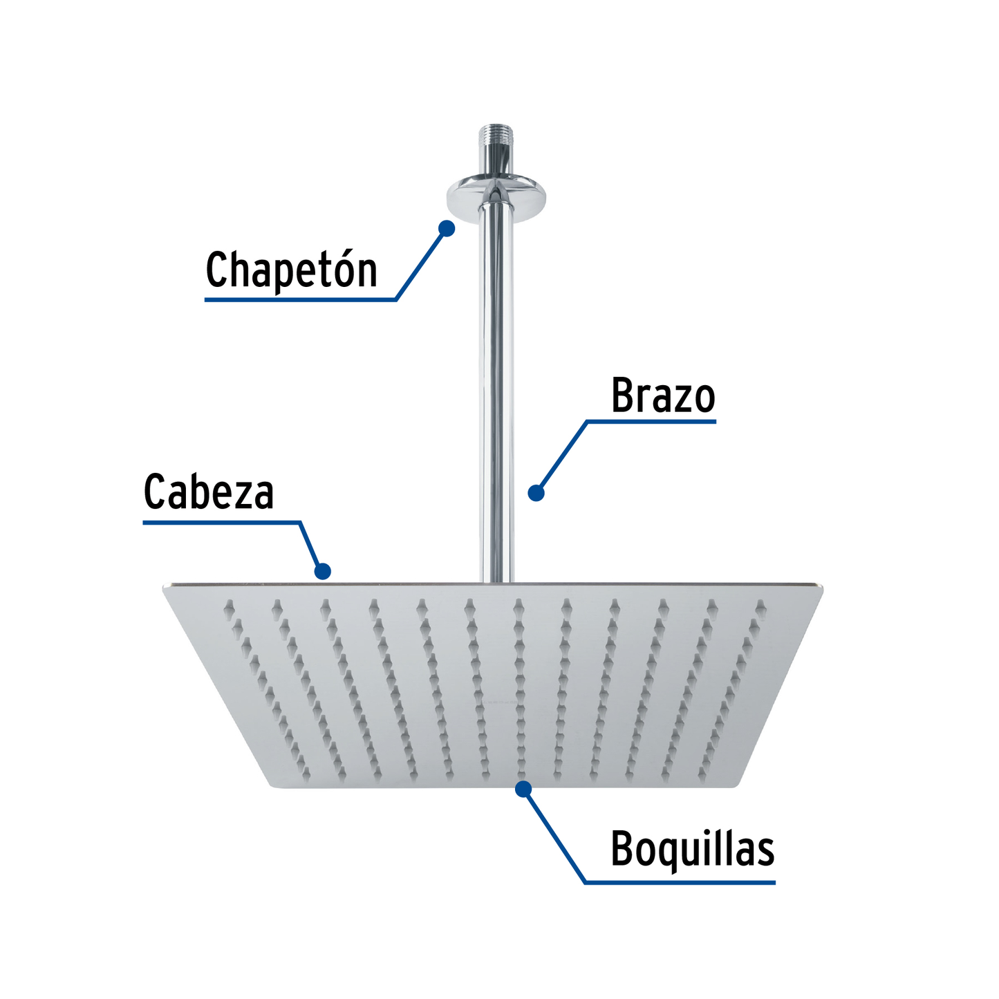 Regadera acero inoxidable, 12", con brazo, cromado, Riviera