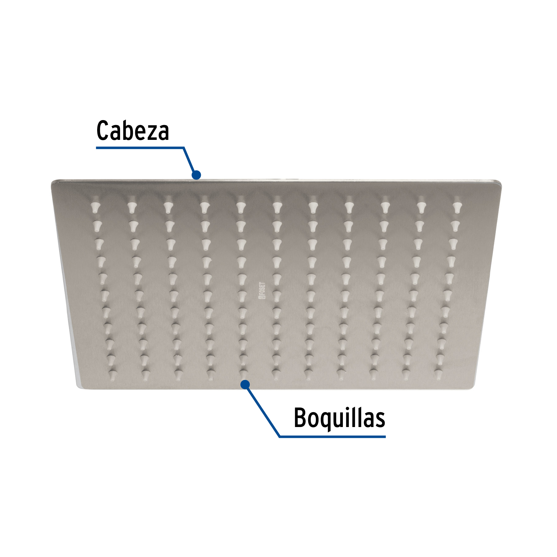 Regadera acero inoxidable, 10", sin brazo, satinado, Riviera