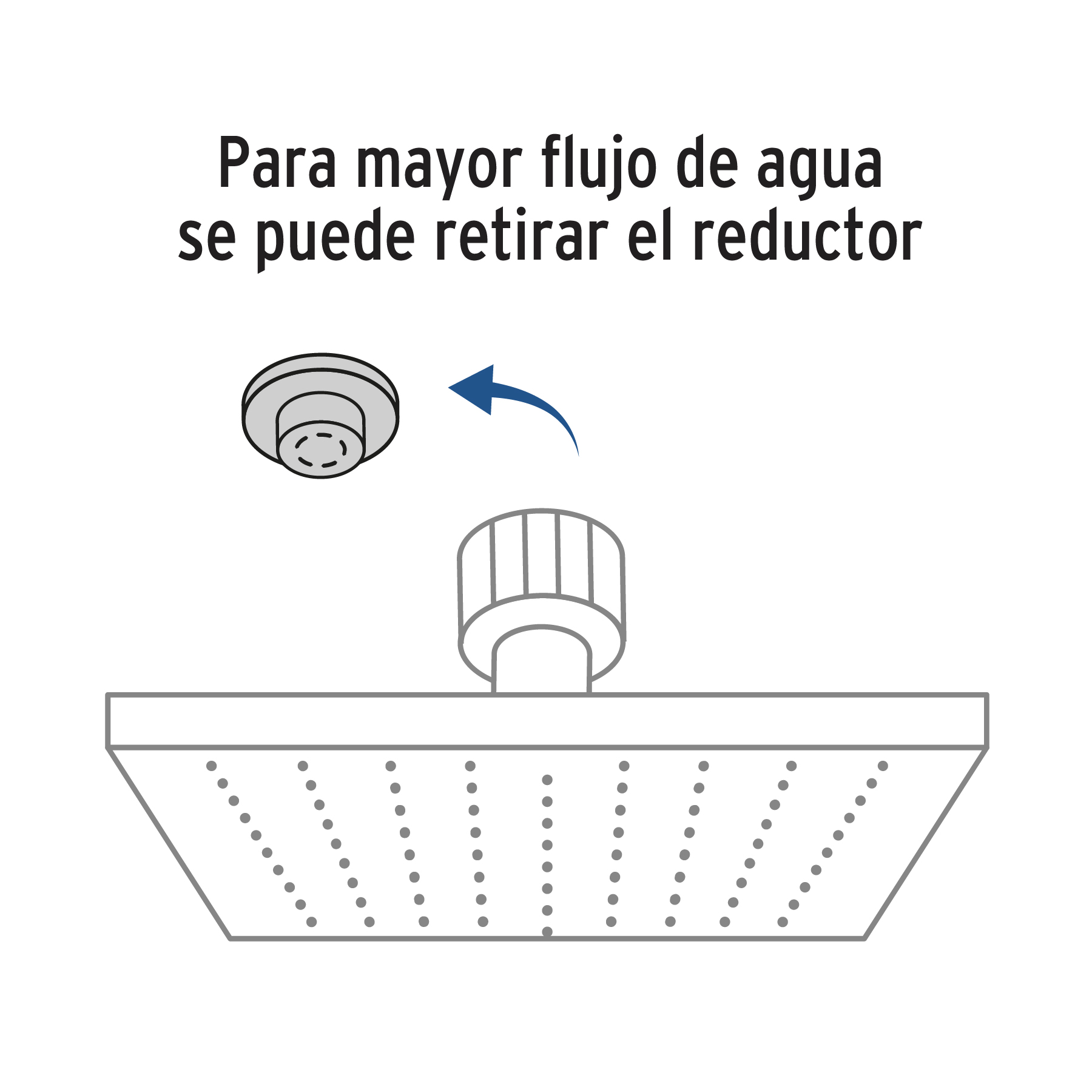 Regadera acero inoxidable, 10", sin brazo, satinado, Riviera