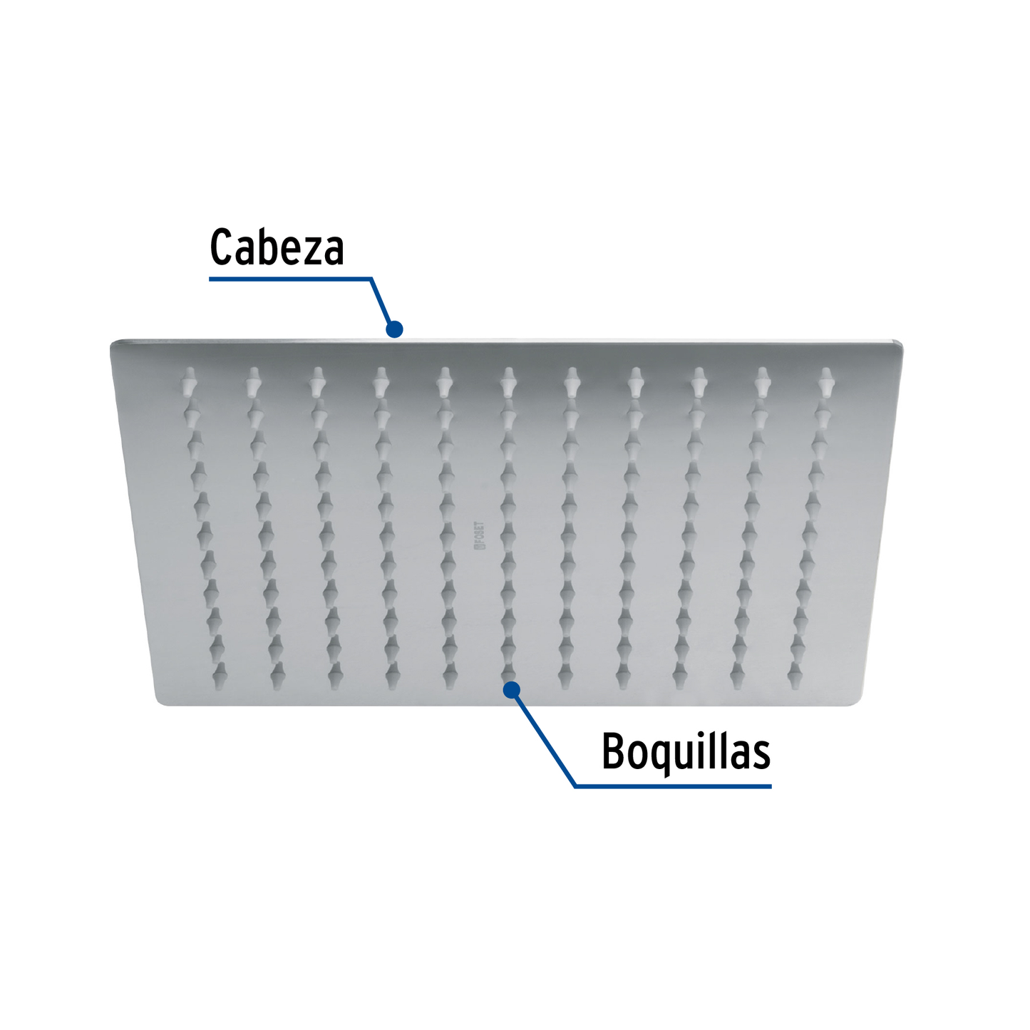 Regadera acero inoxidable, 10", sin brazo, cromado, Riviera