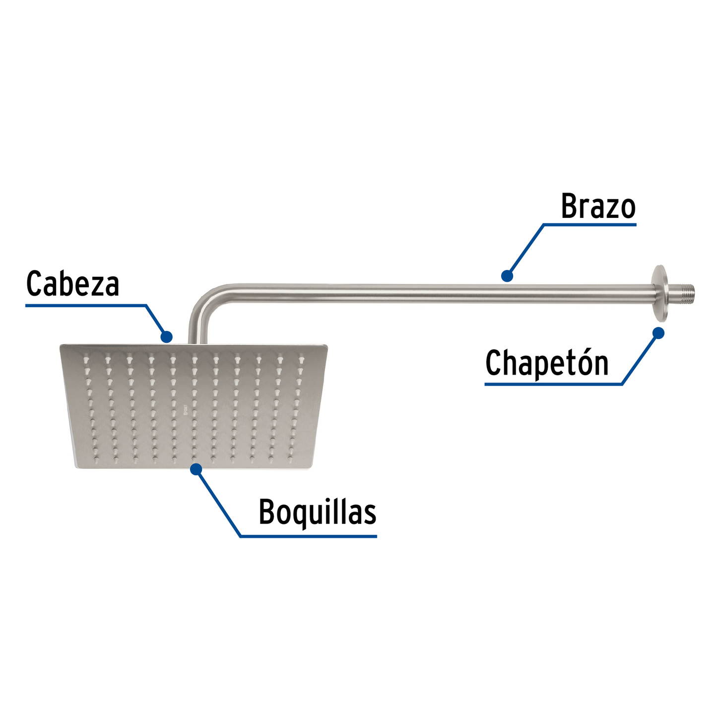 Regadera acero inoxidable, 10", con brazo, satinado, Riviera