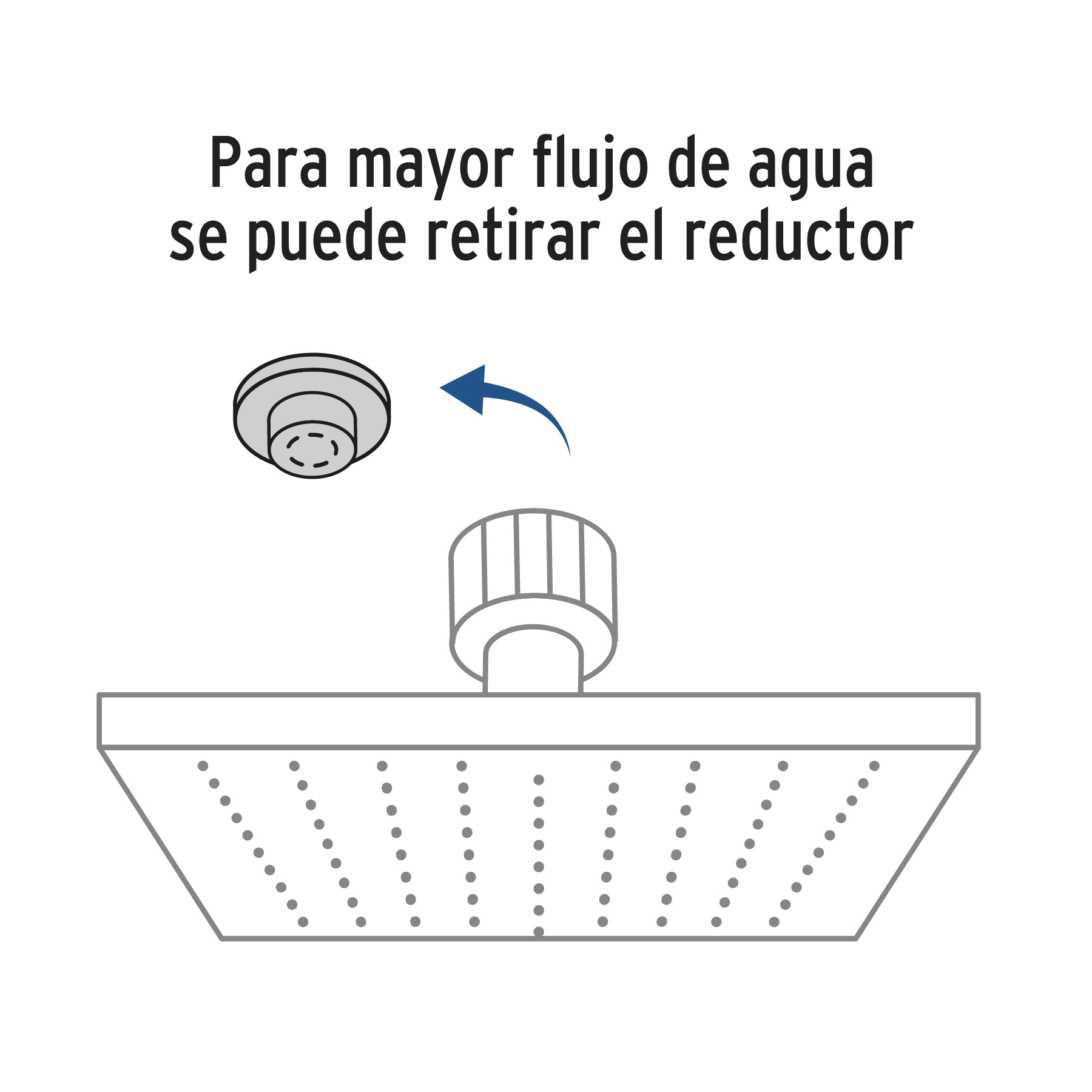 Regadera acero inoxidable, 10", con brazo, cromado, Riviera