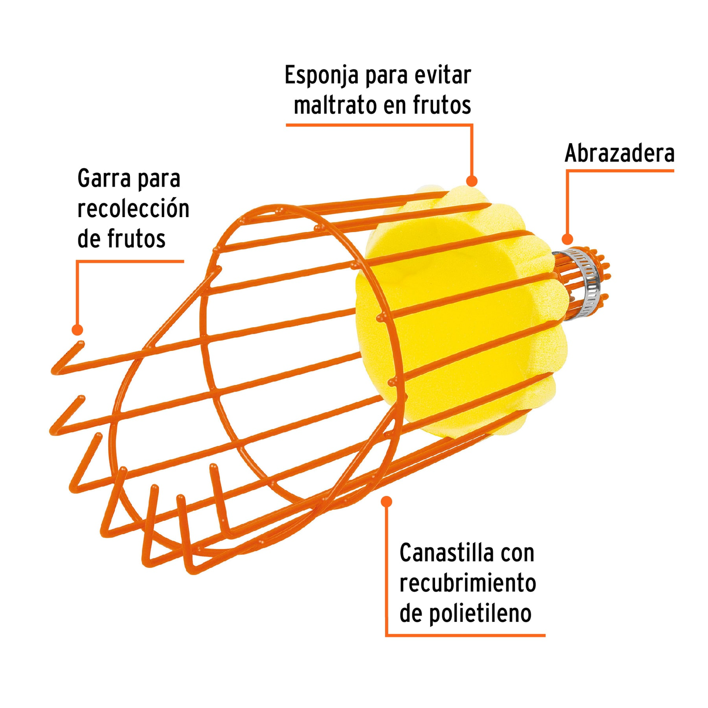 Recolector de fruta, sin mango