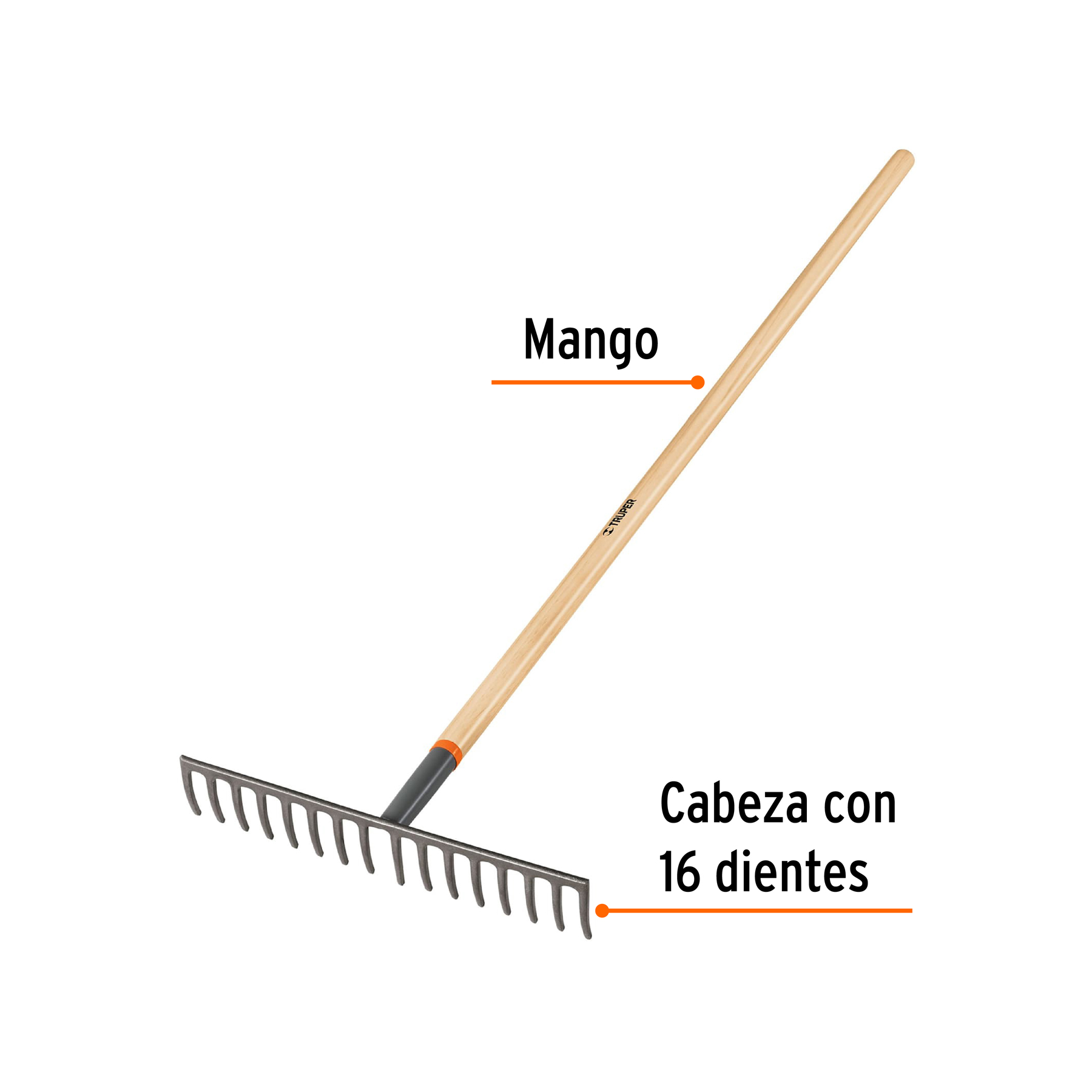 Rastrillo recto, 16 dientes, mango 60"