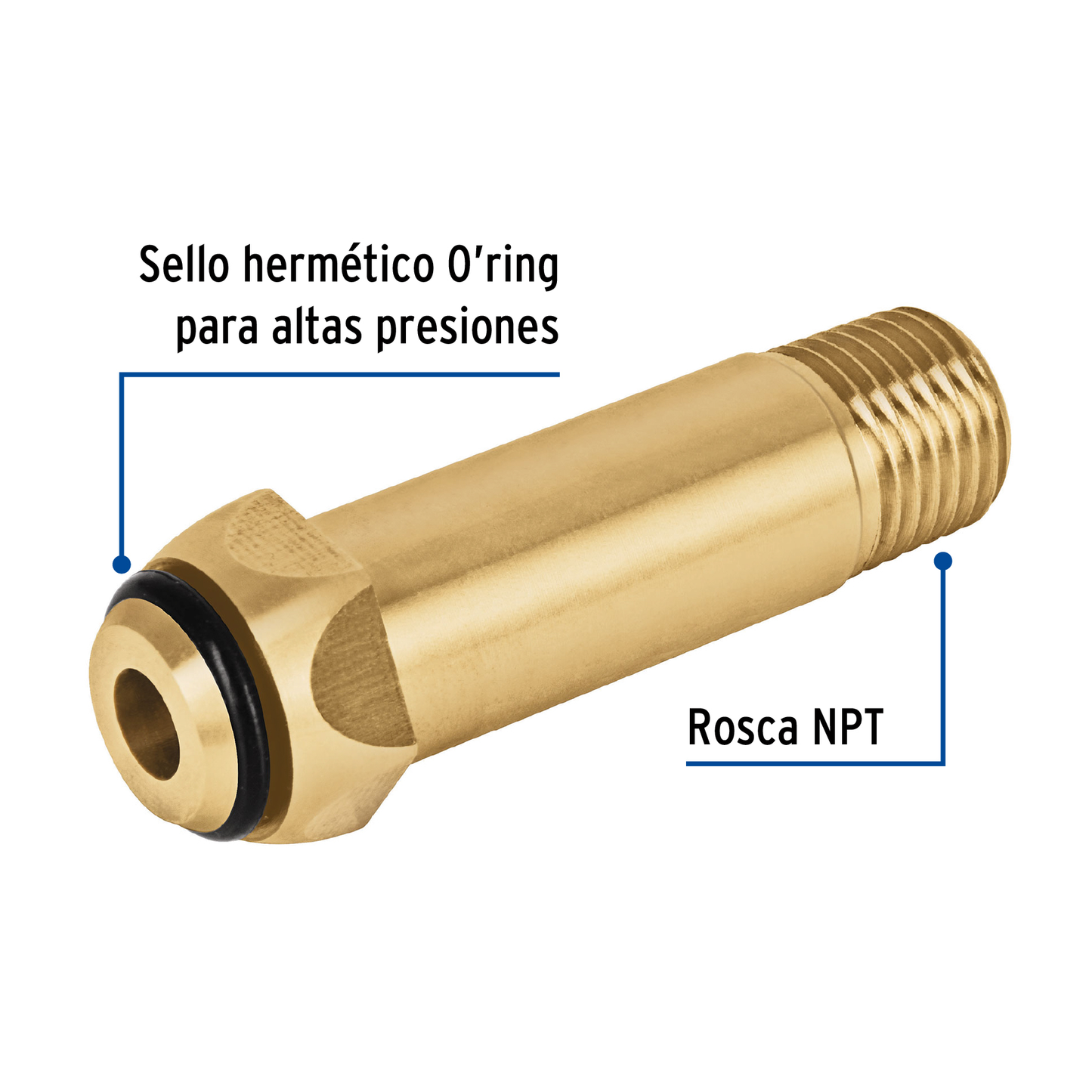 Punta pol 1/4" x 6 cm con rosca y O-ring