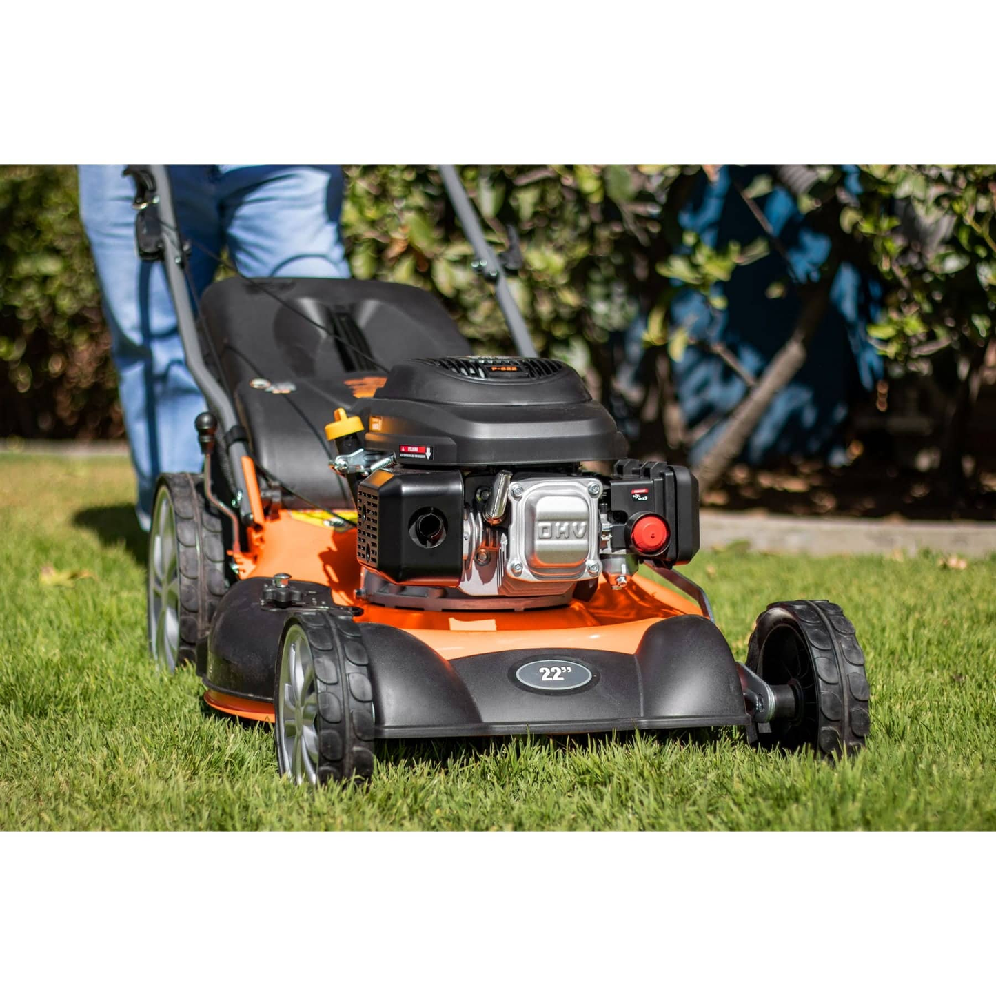 Podadoras con motor a gasolina, 6HP, de 22"