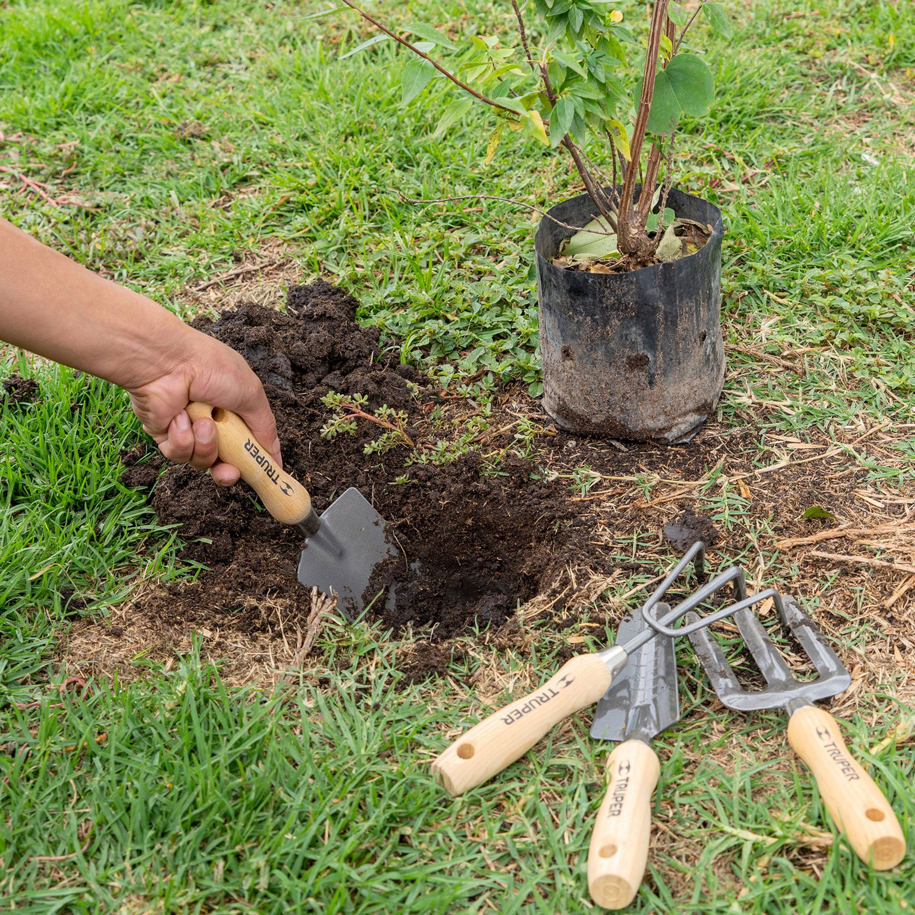Juego herramientas para jardín 4 piezas, 6"